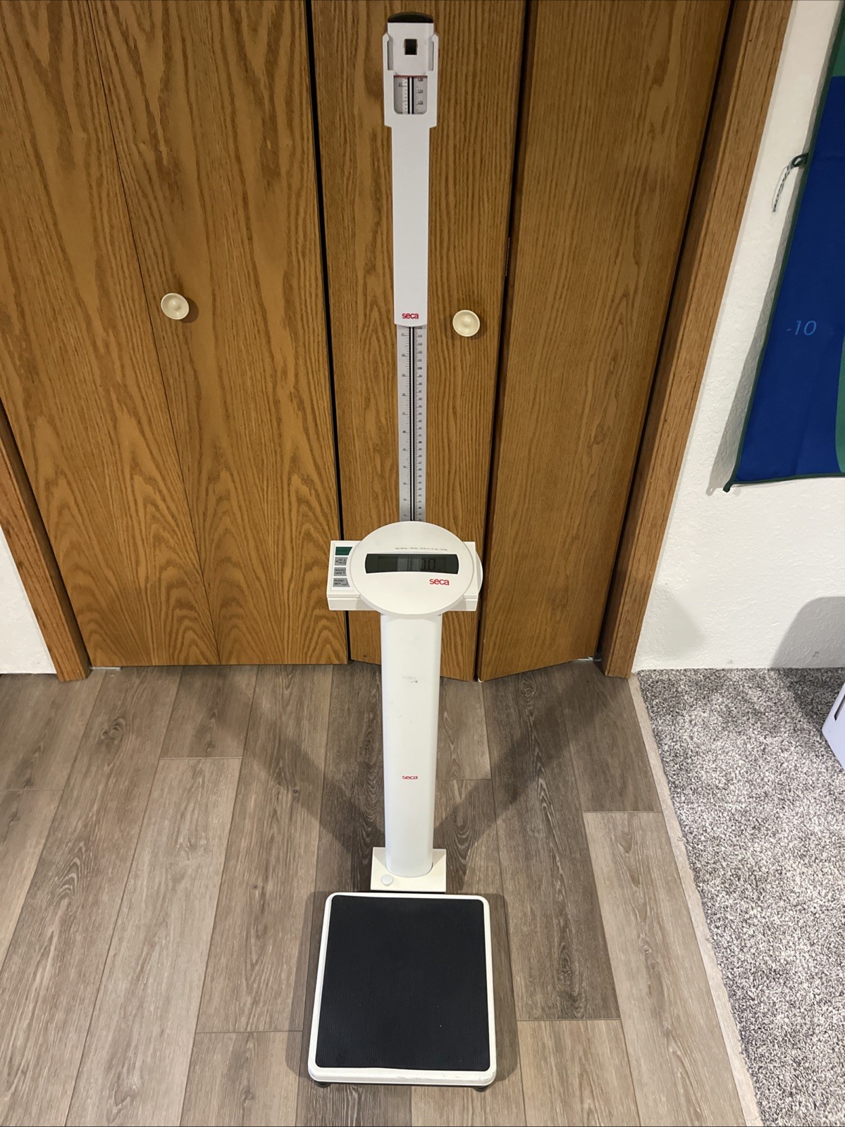 seca 769 Digital Medical Platform Scale w/ Display Head and Height Rod