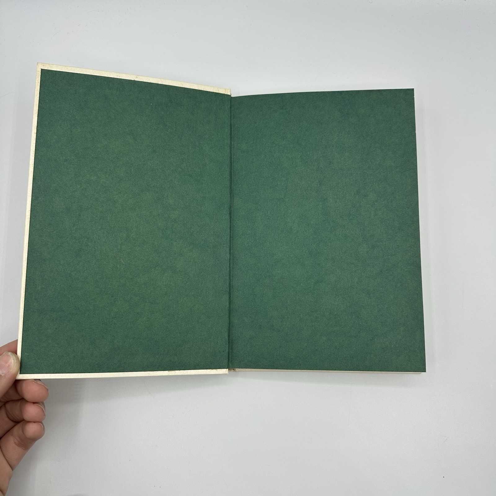 VTG Anything Book Hardcover Journal Leprechaun Lucky Notebook Clover 75+ Pages