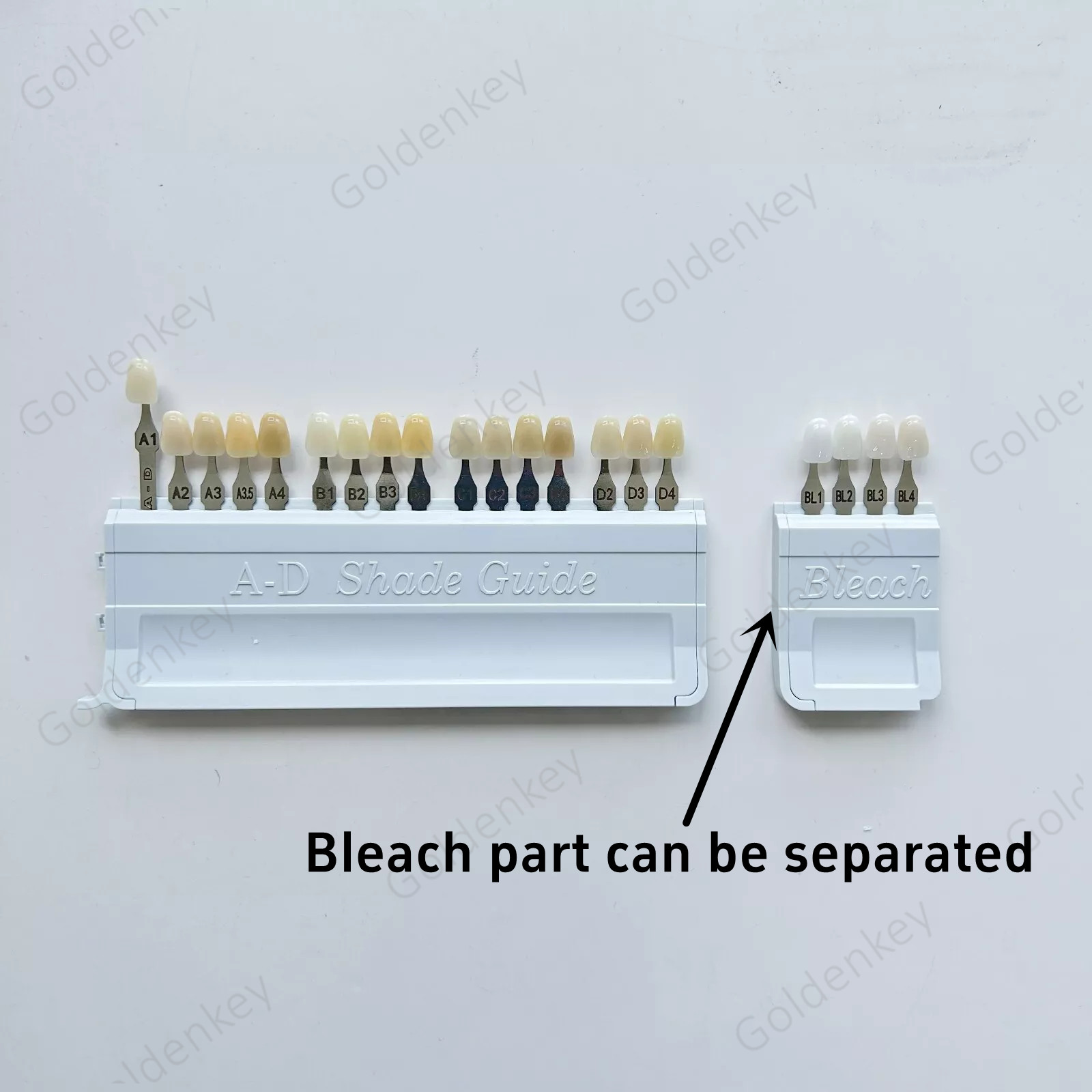 Dental Teeth Shade Guide Porcelain Ivoclar 20Color A-D Tooth 4 Bleach Vivadent