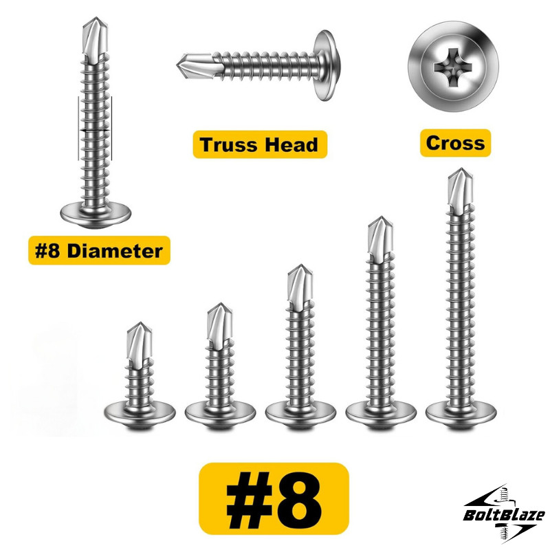 160-Piece #8 Stainless Steel Self-Tapping Screw Kit for Metal & Wood Projects