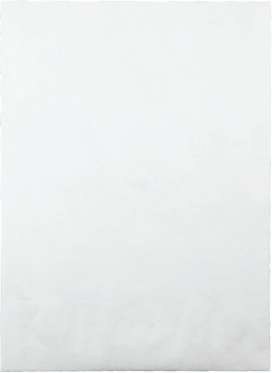 Survivor Lightweight 14 Lb Tyvek Open End 1.5″ Expansion Mailers, 13 1/2, Squar