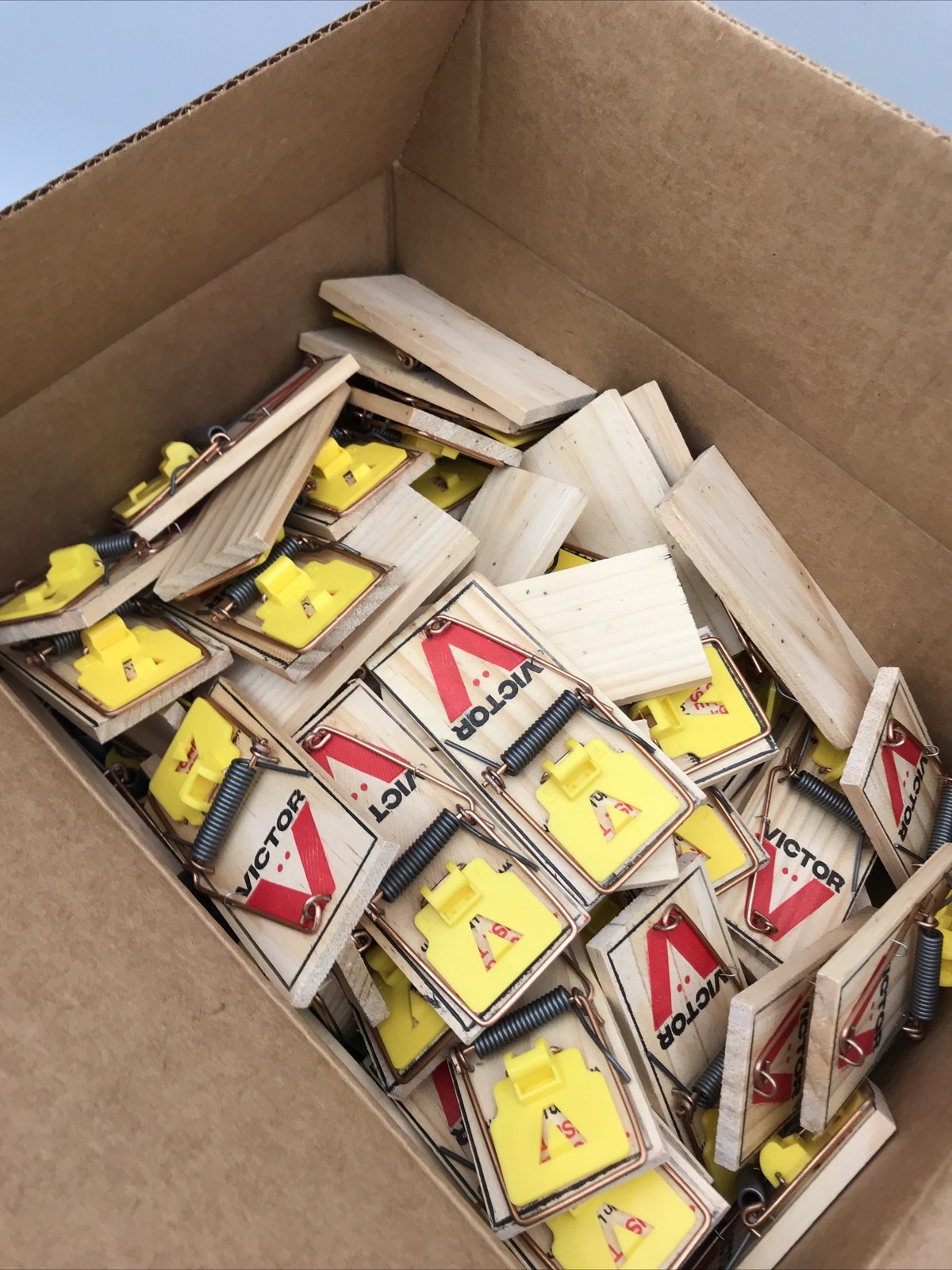 72 Mouse Traps Victor Wooden Mouse Traps Victor Expanded Trigger Mice Trap M325