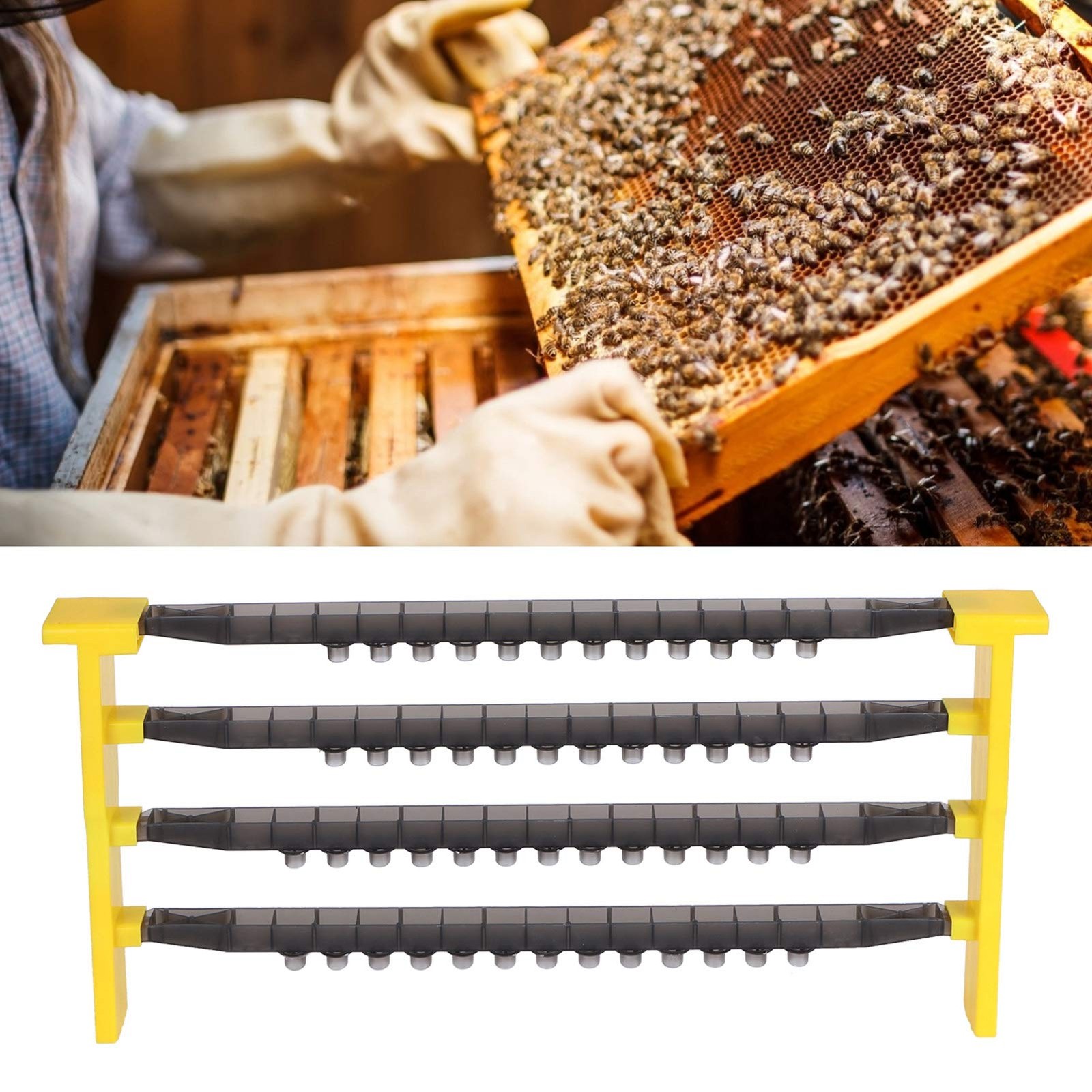 Queen Rearing Kit,Bee Cell Cups, System Cultivating Queen Cage bee Grafting k…