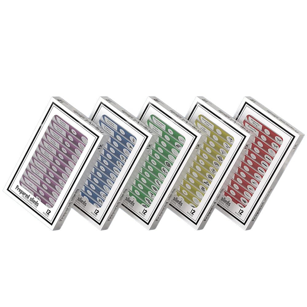 60Pcs Prepared Microscope Slides Specimen Animals Insects Plants Flowers Sample.