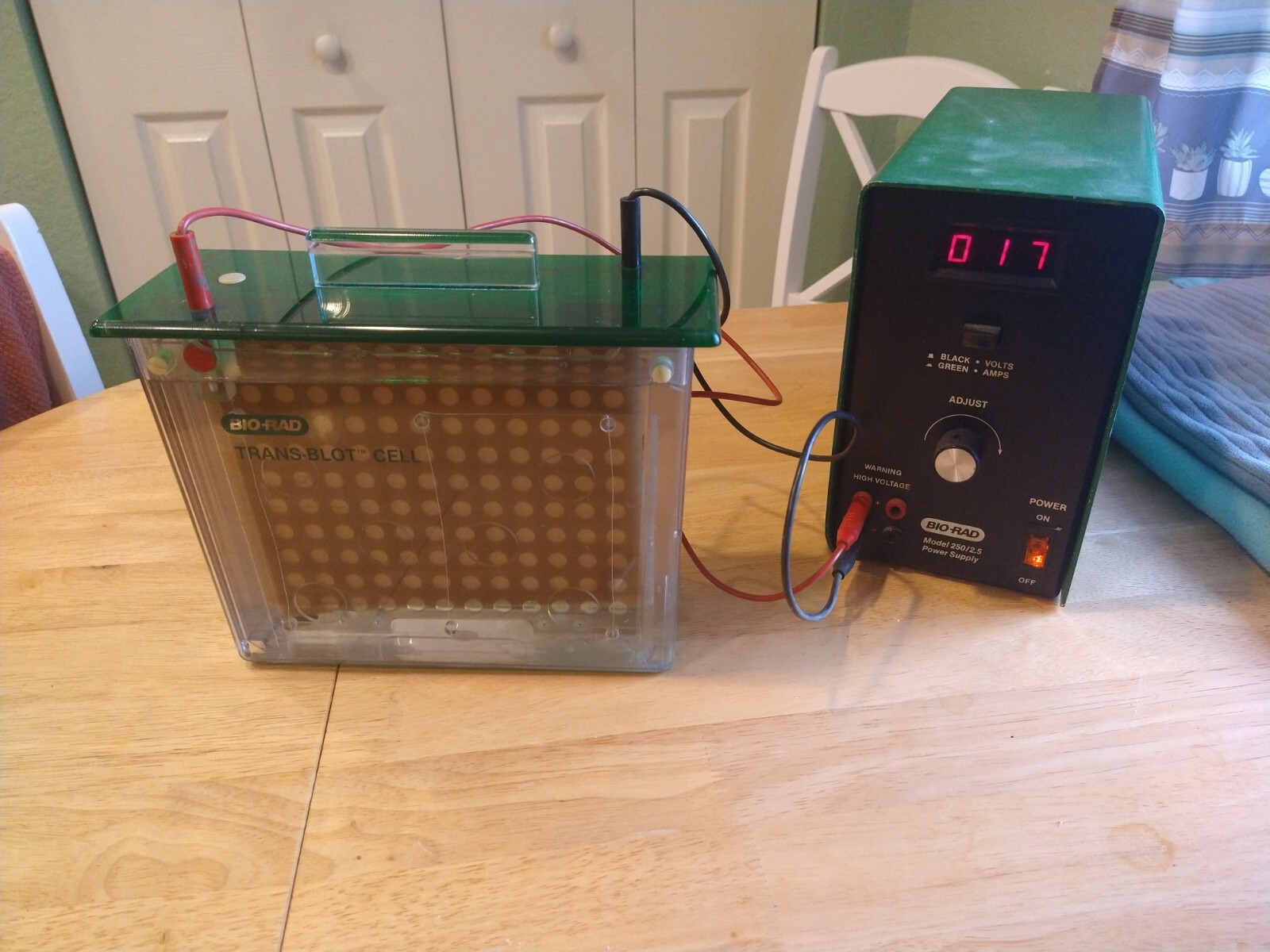 Gel Electrophoresis and ImmunoBlot Devices