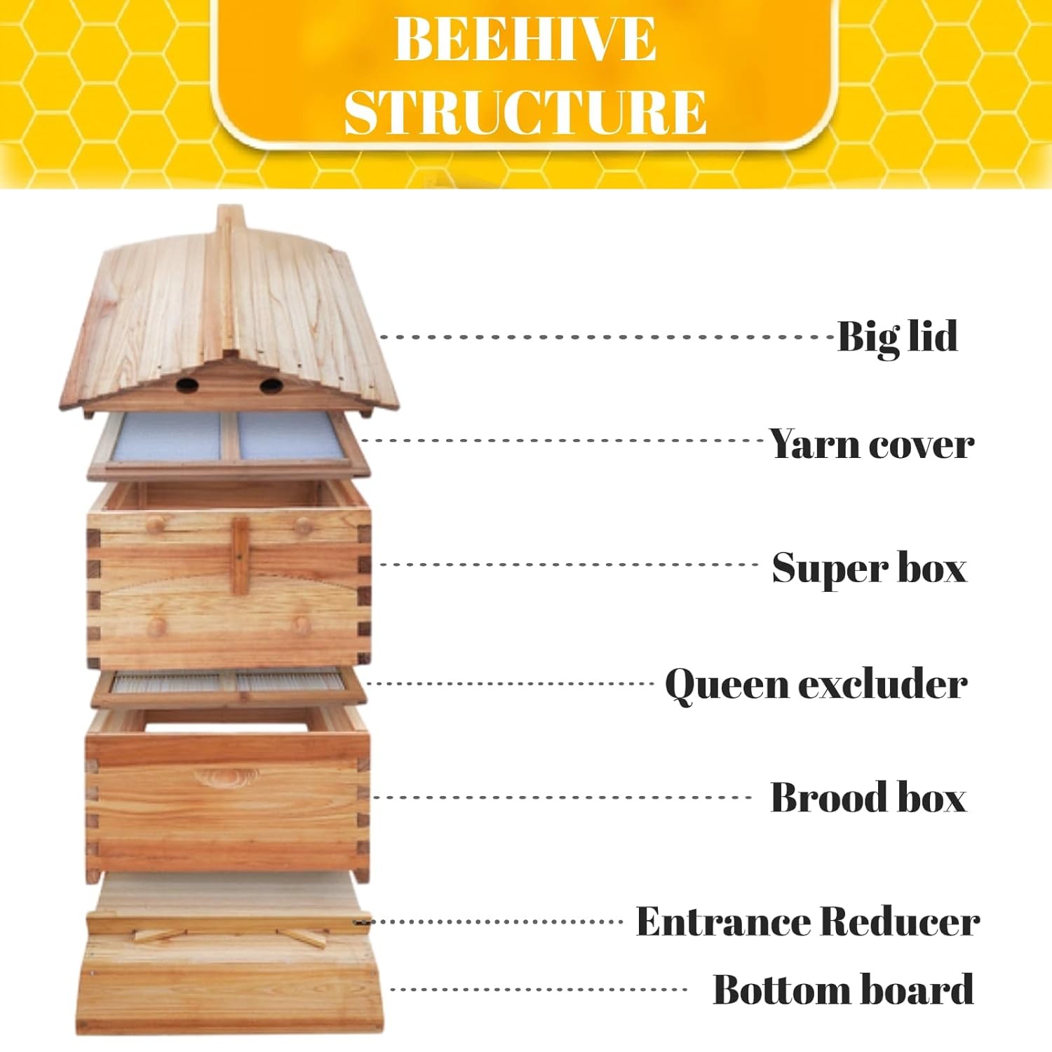 Automatic Beehive Starter Kit Cedarwood Beekeeping Box with 7pcs Auto Bee Frames