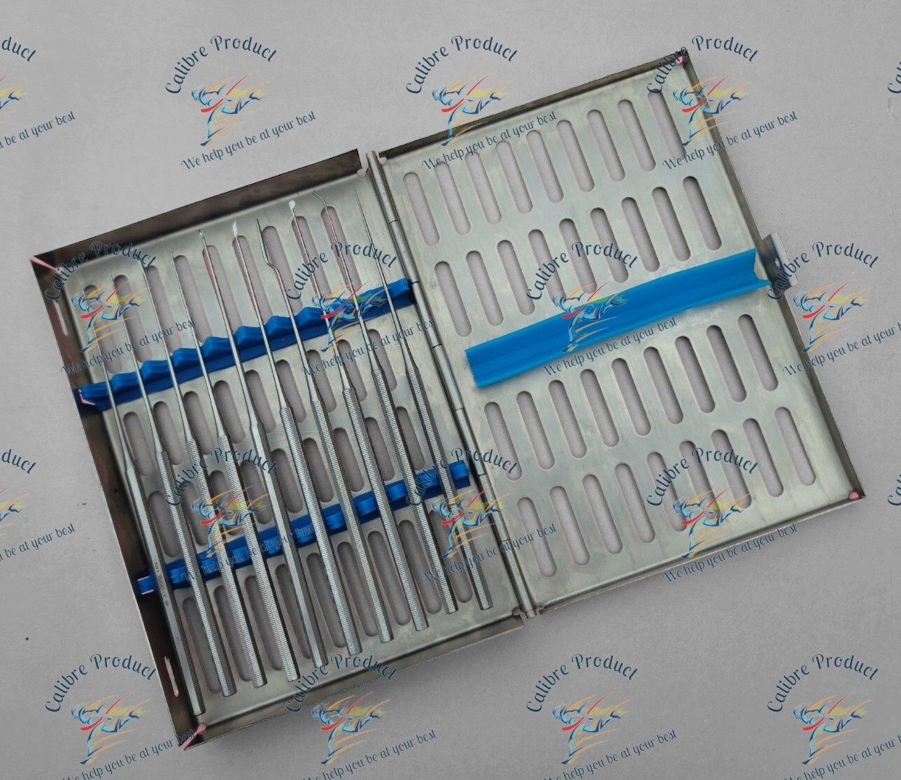 Shea Ear Operation Micro Repositor Set of 10 Pcs Surgical-ENT With Sterlize Box