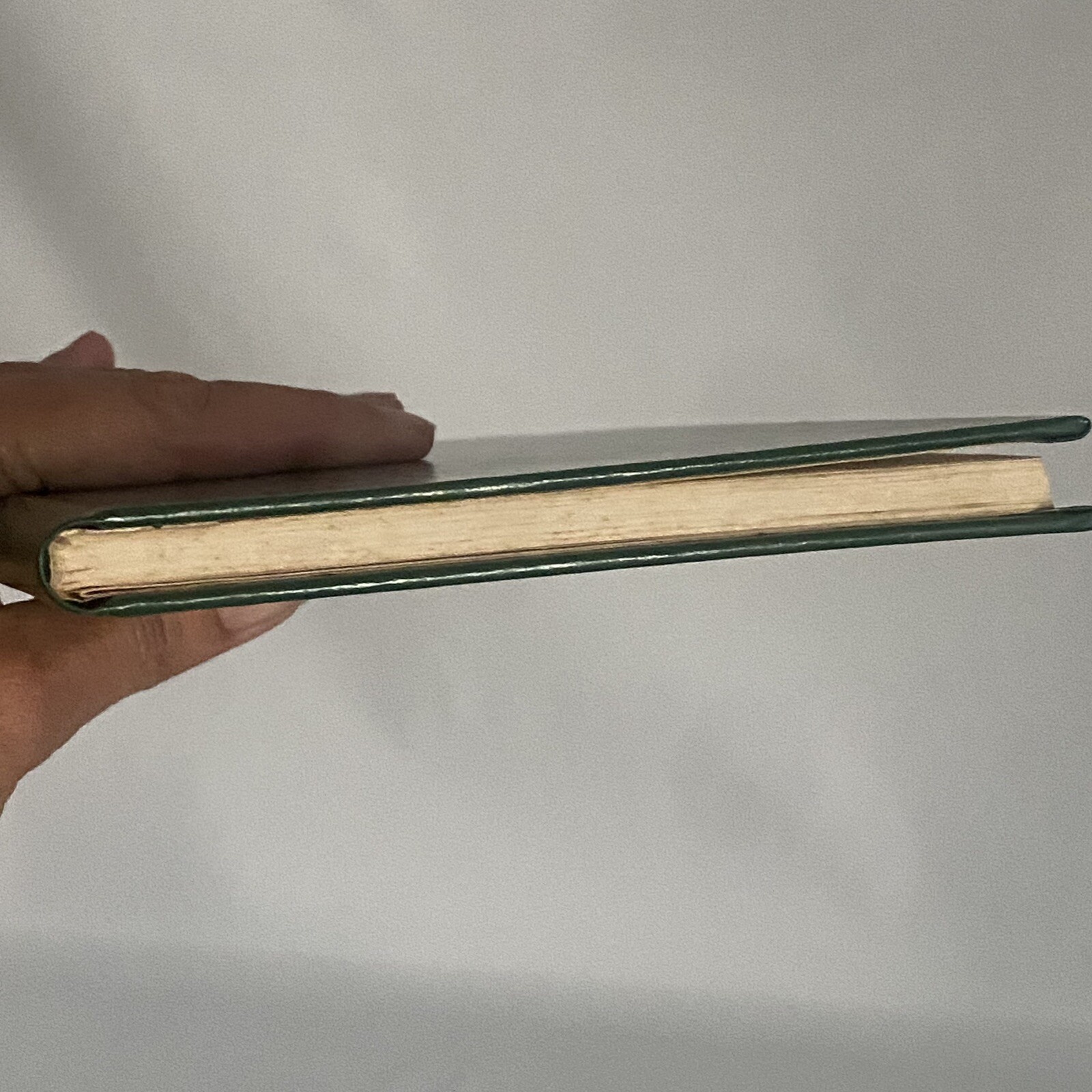 Cash Record S.E. LEDGER BOOK! NATIONAL BLANK BOOK CO. Eagle Line Vintage READ
