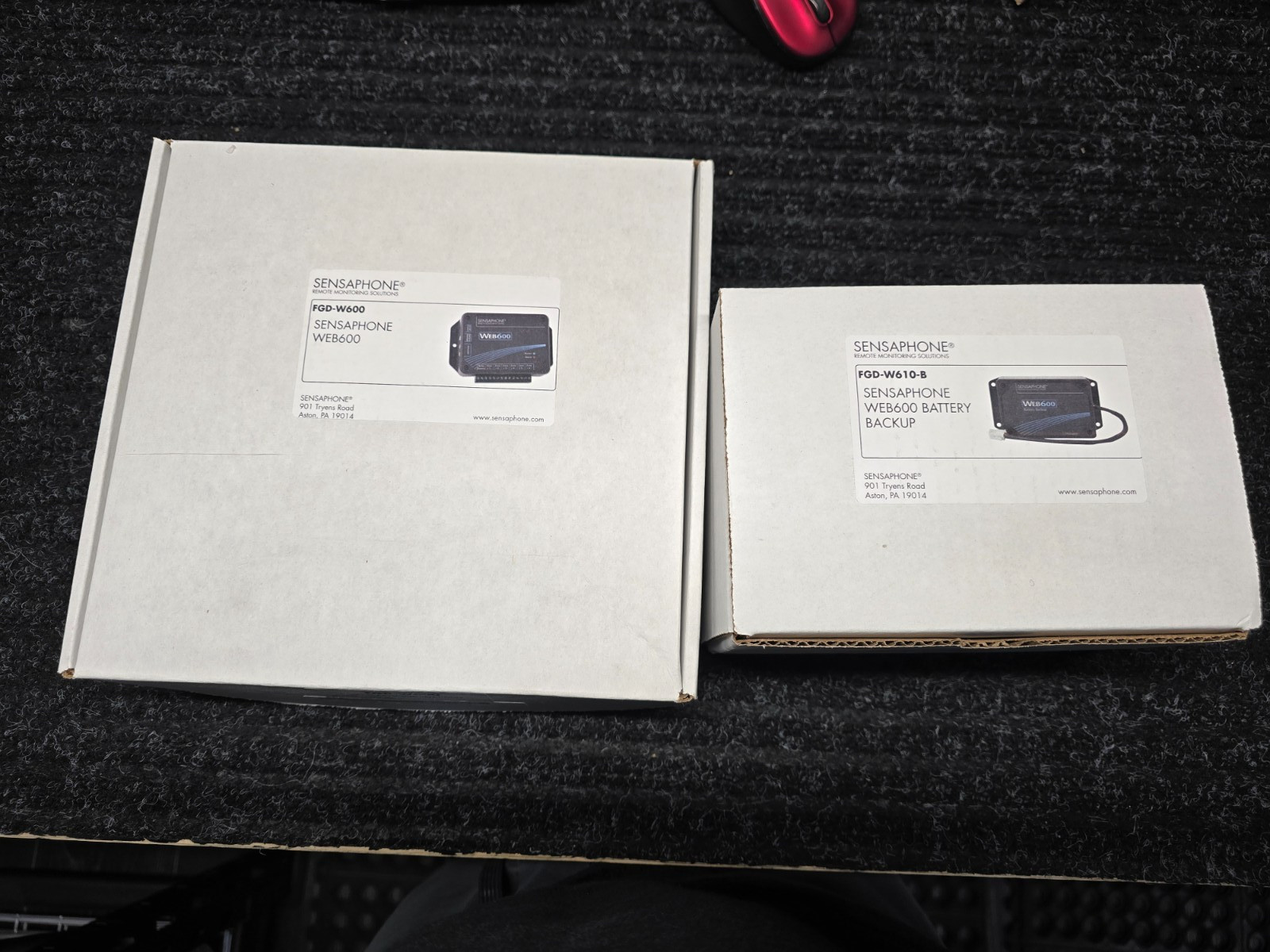 Sensaphone FGD-W600 Web 600 with Backup Battery FGD-W610-8