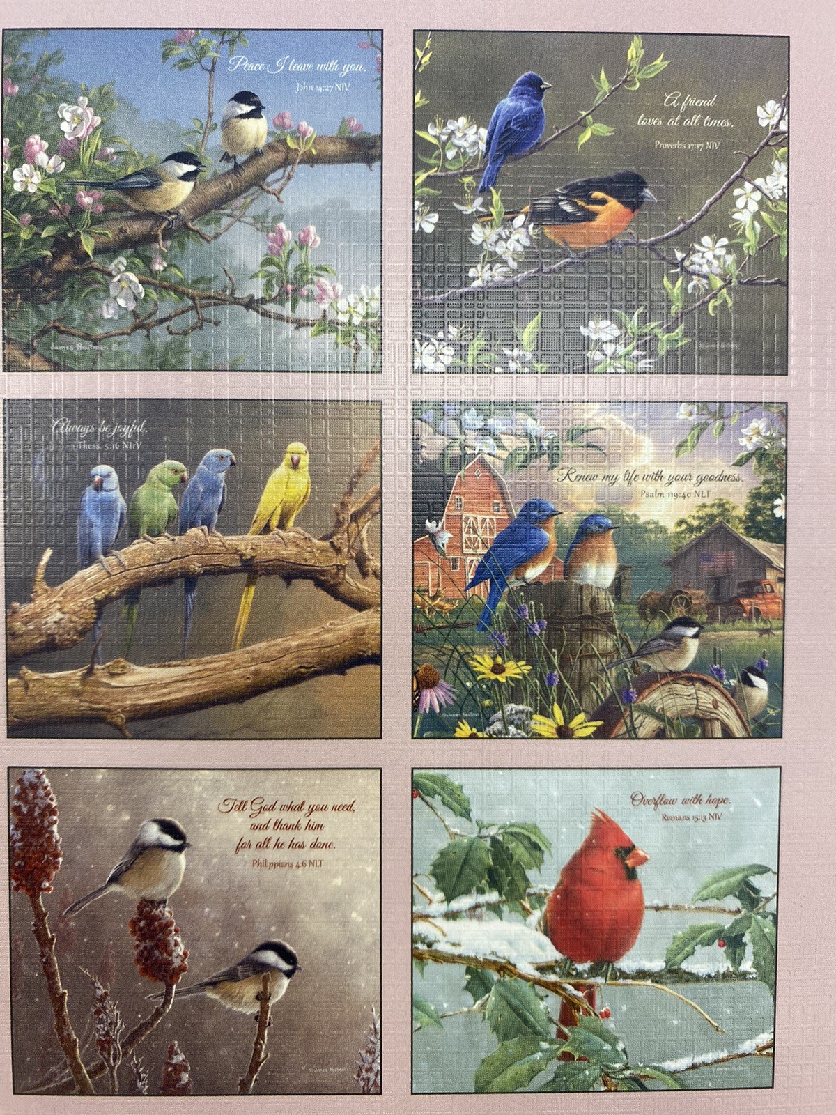 Legacy Songbirds of Faith 2026 Wall Calendar with scripture Birds High Quality