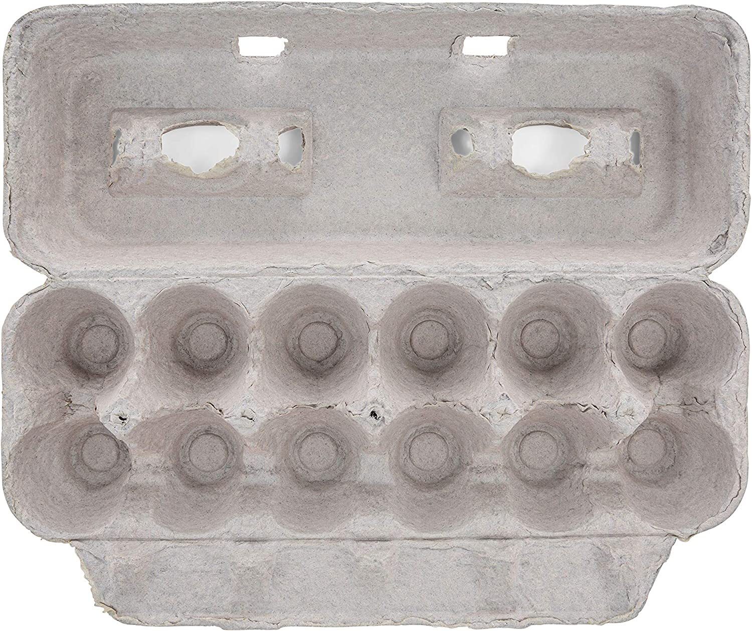 MT Products Printed XL Pulp Paper Egg Cartons Hold Eggs 12 Count – 25 Pieces