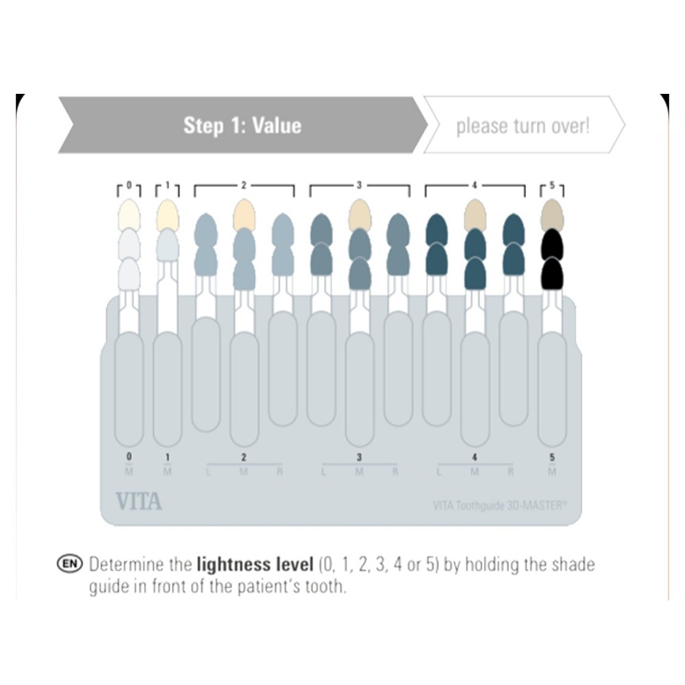 Vita Toothguide 3d-Master With Bleached Shades
