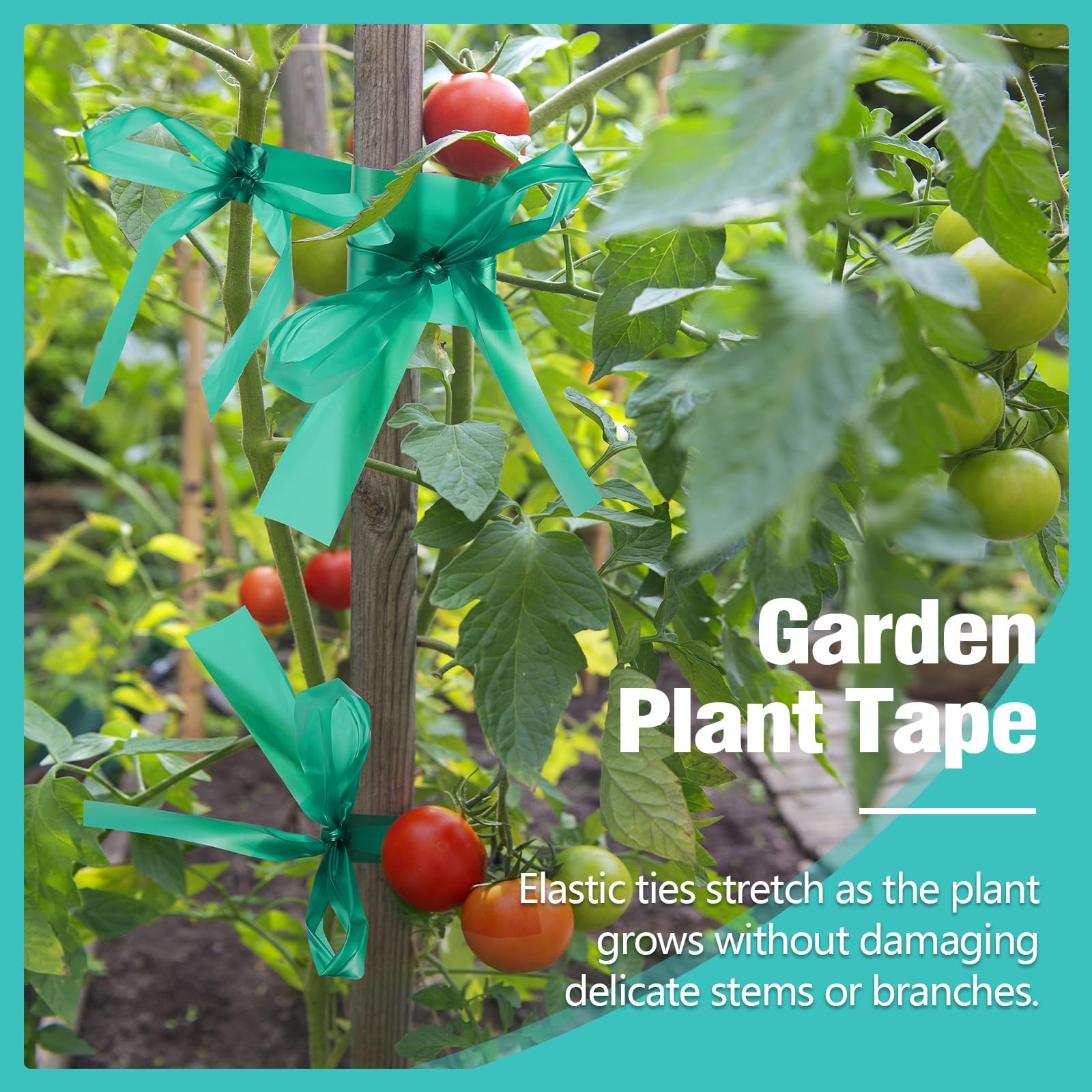1200FT Stretch Tie Tape Roll, 1» Plant Tape Green Stretch Garden Tie, Thick …