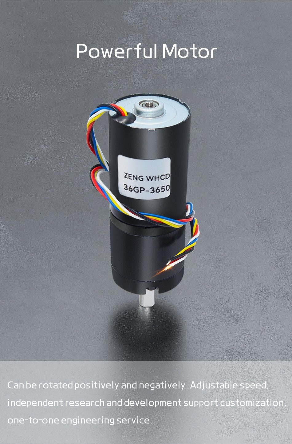 Planetary Reduction Motor DC 12V 24V Brushless Reversible High Torque 36GP-3650