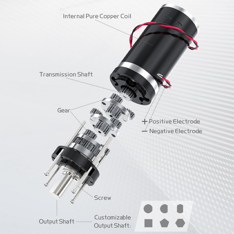32GP-31ZY Planetary Brushed Motor DC 12V24V Forward And Reverse Speed Regulation