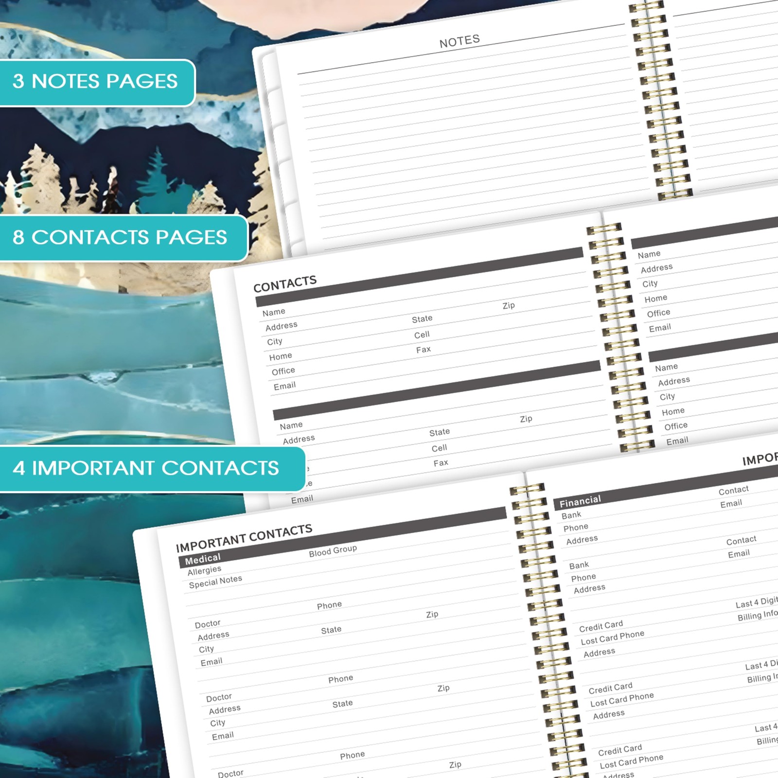 5 Year Monthly Calendar Jan.2026 – Dec.2030, 9″ x 11″ 60 Months with Tabs