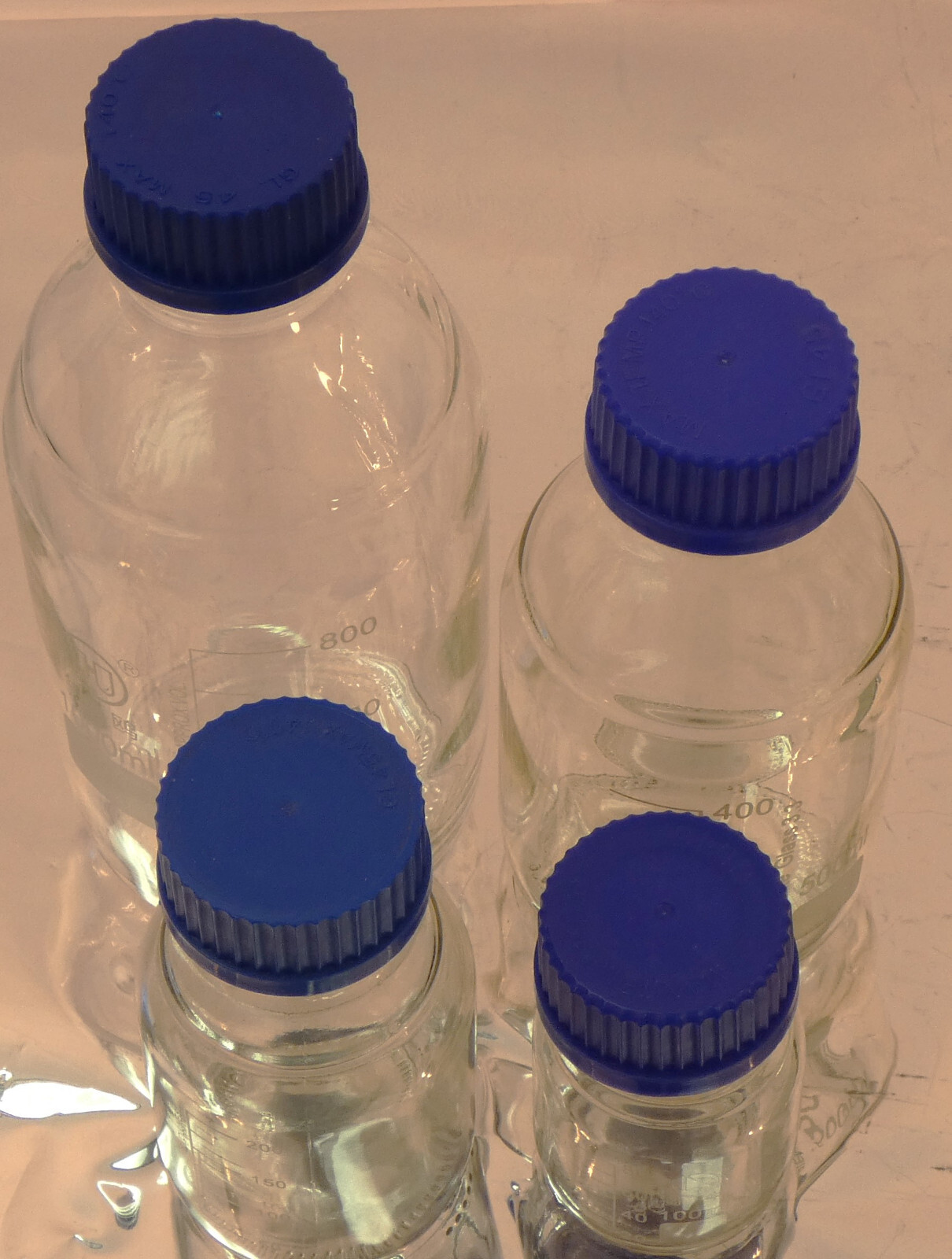 Glass Media Bottle 100ml 250ml 500ml 1000ml Borosilicate GL45 Cap Autoclavable