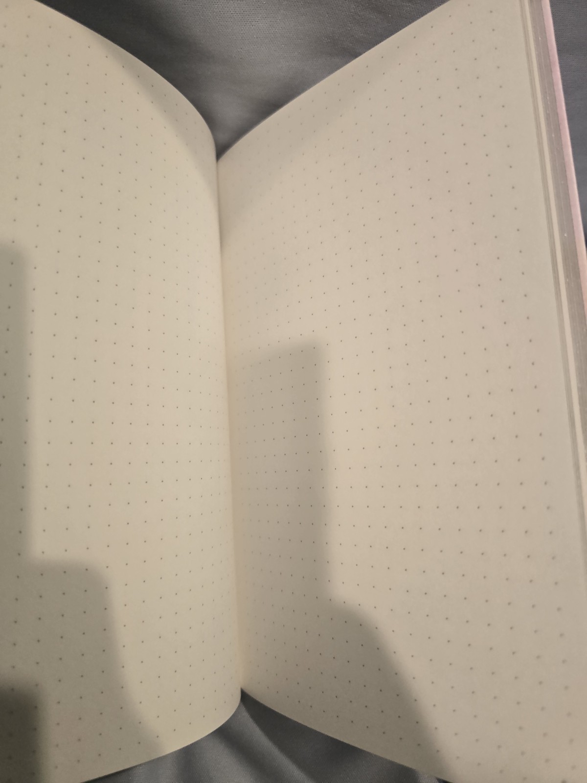 Erin Condren Dotted Notebook