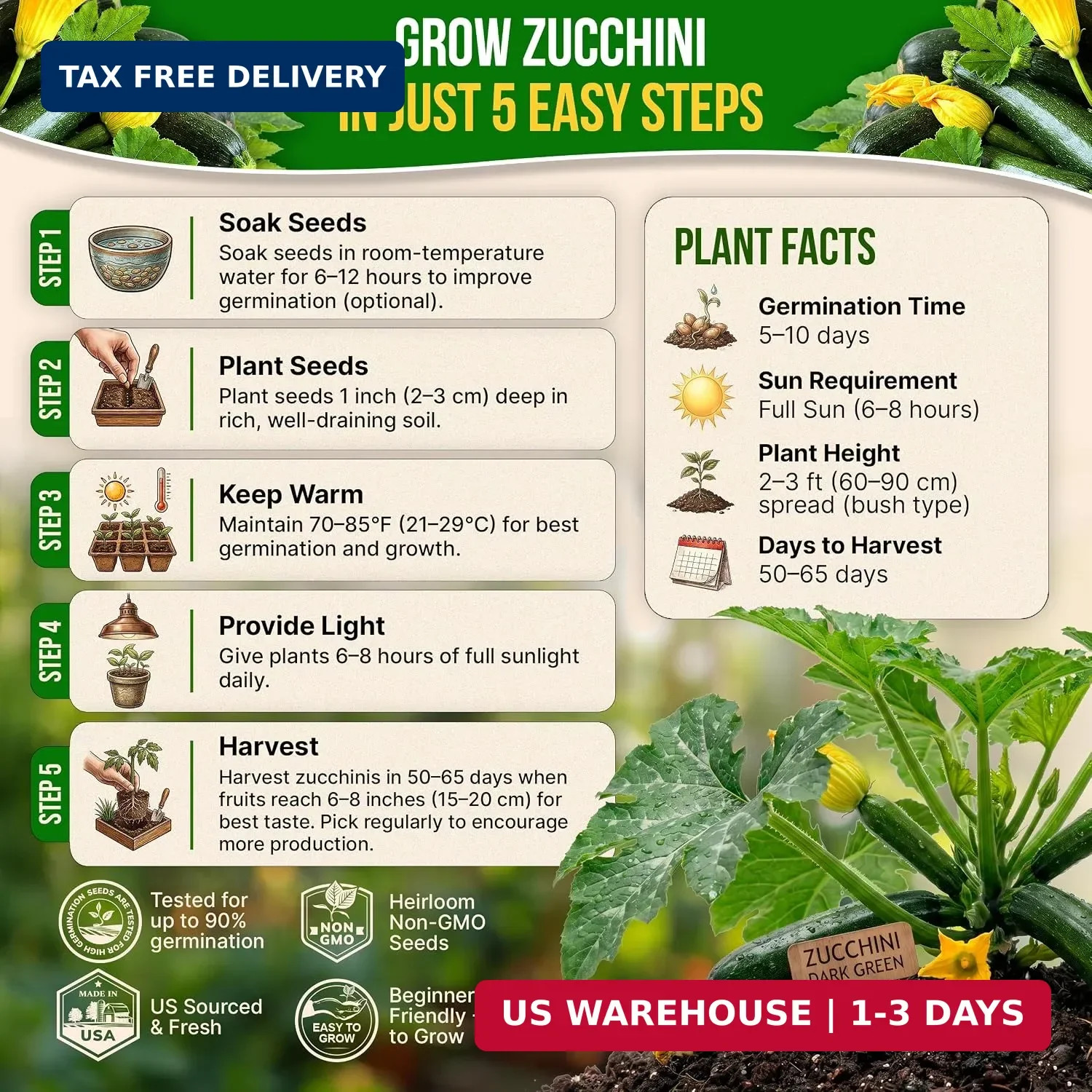 Organo Republic Dark Green Zucchini Seeds Pack 15 G – Over 150 Non-GMO Heirloom