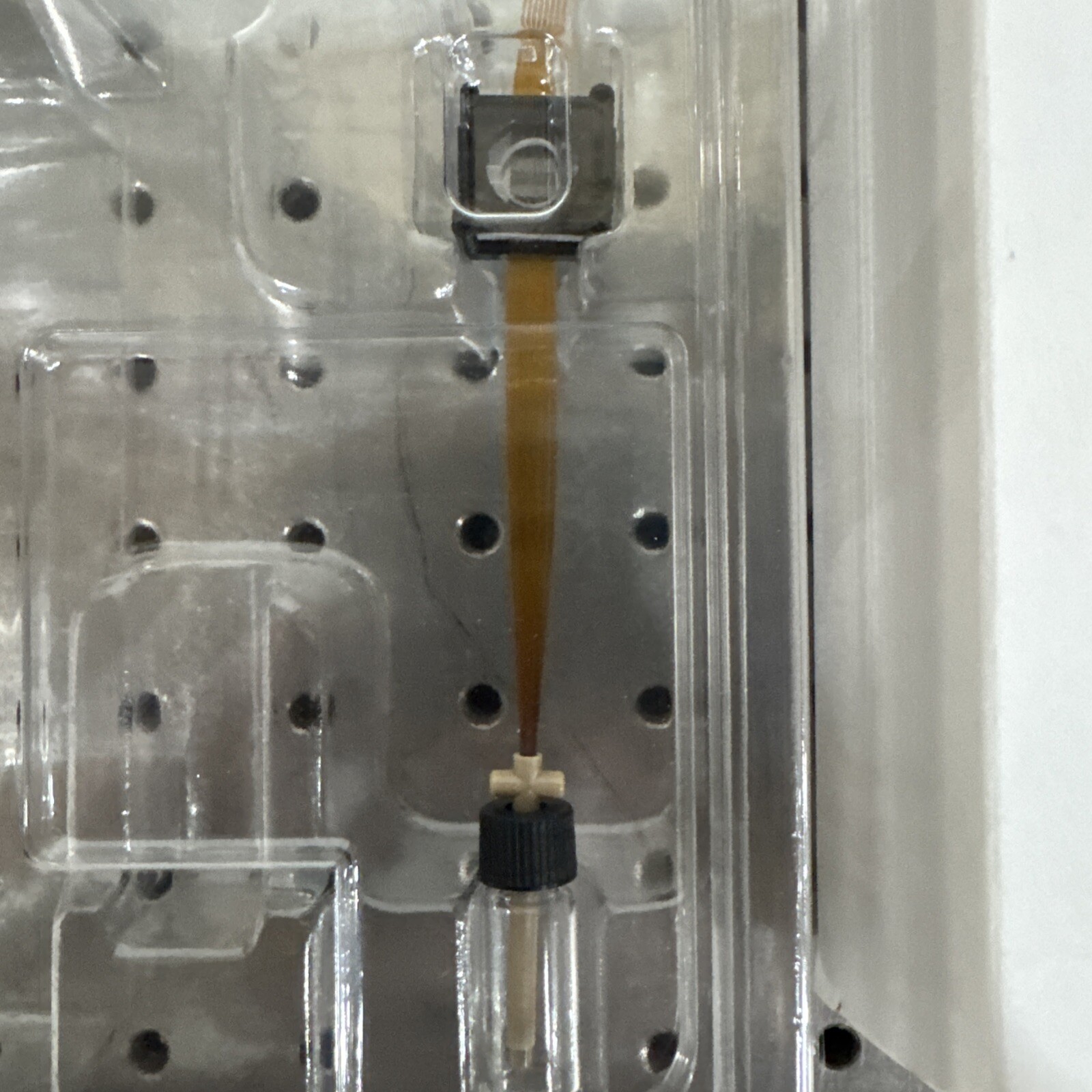 3130XL & 3100 Capillary Array 36 CM APPLIED BIOSYSTEM KKK