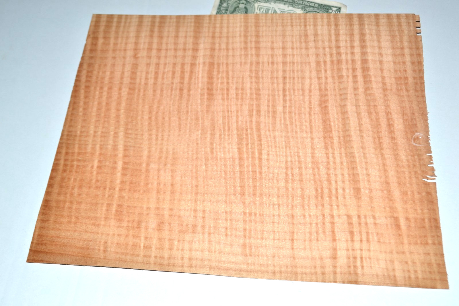 Western Red Maple Raw Wood Veneer Sheet 12 x 14 inches 1/42nd 8628-38