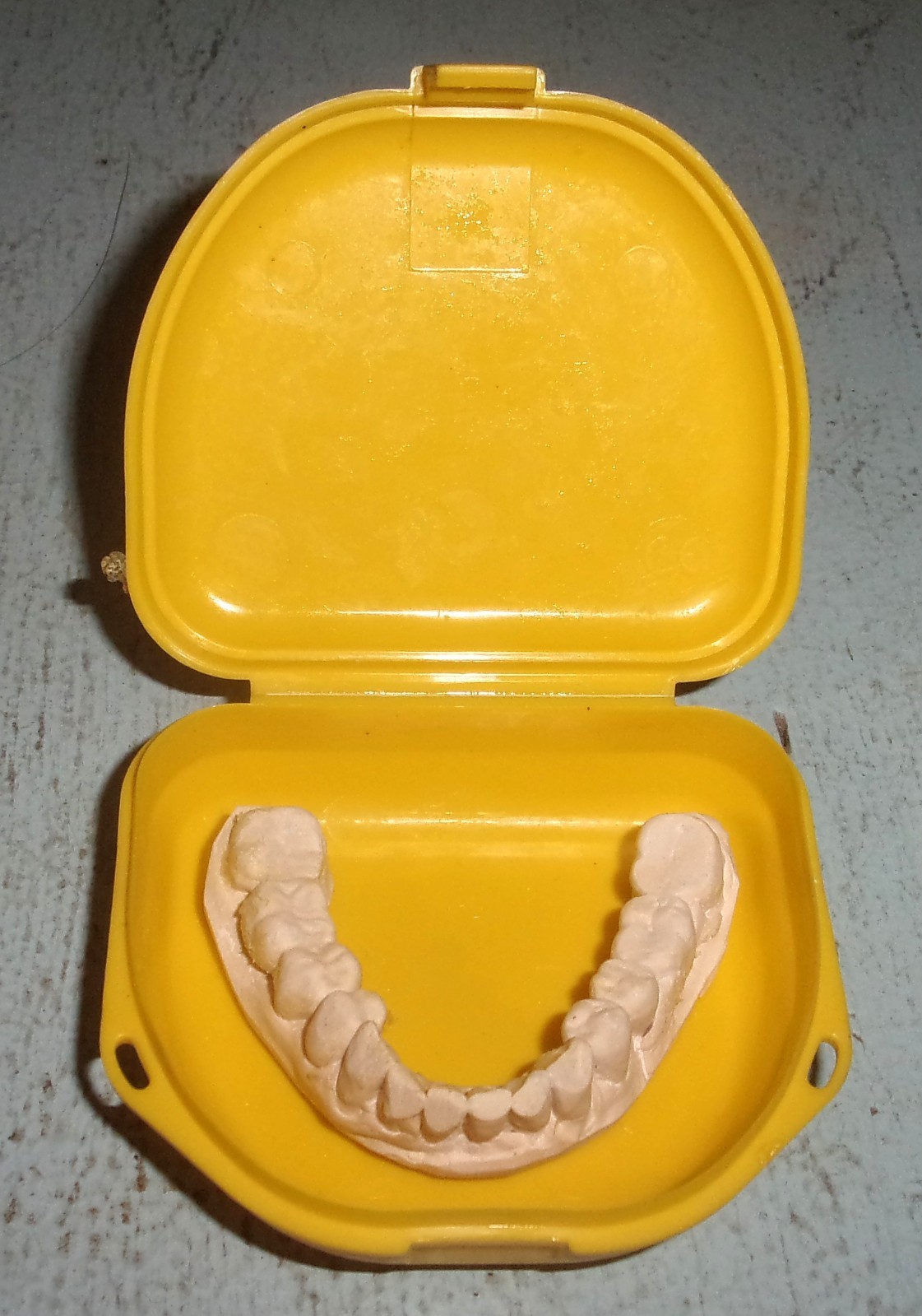 Plaster Lower Jaw Denture Cast for False Teeth Prop Creepy Decor