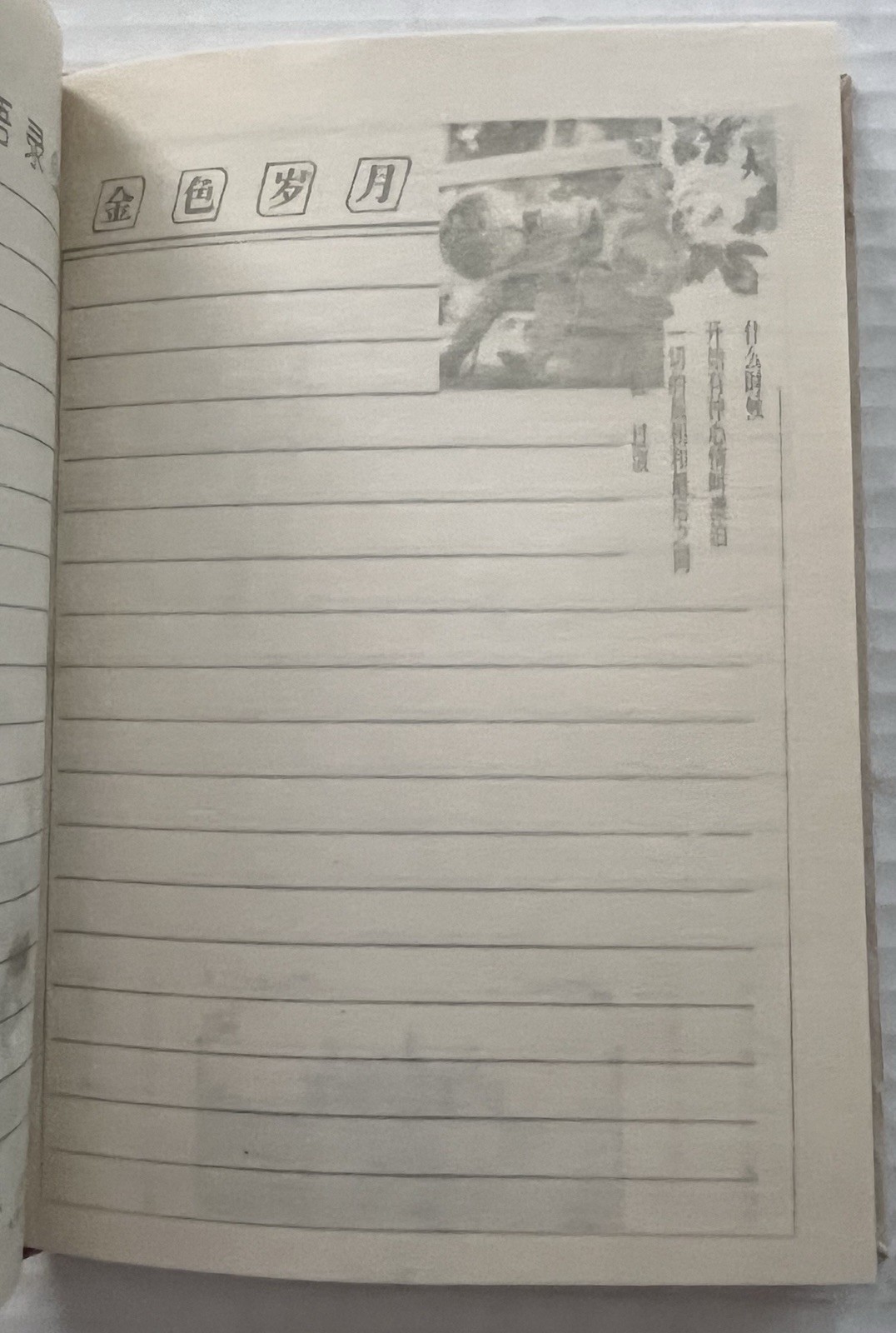 Chinese Journal Blank Book Diary Victorian Theme Flowers Romance Hardcover