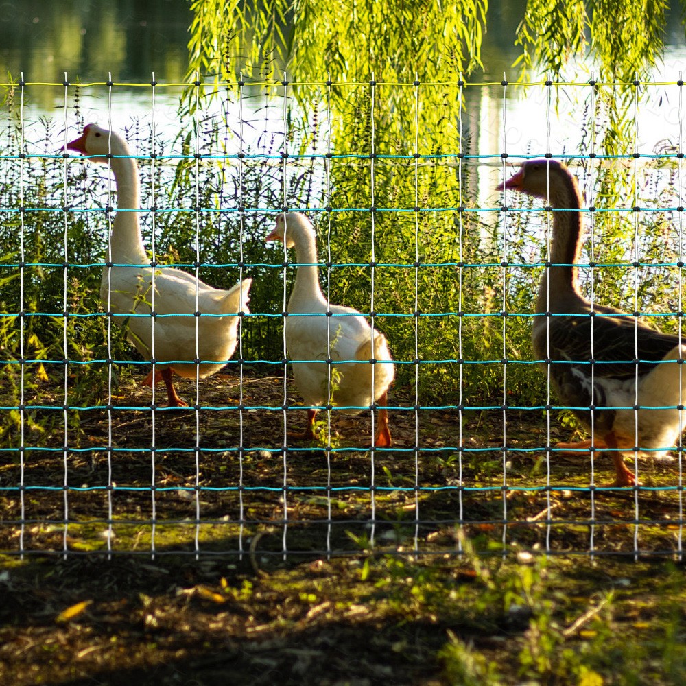 Updated Poultry Netting, Portable Electric Livestock Mesh Fence 47.5″ H x 168′ L