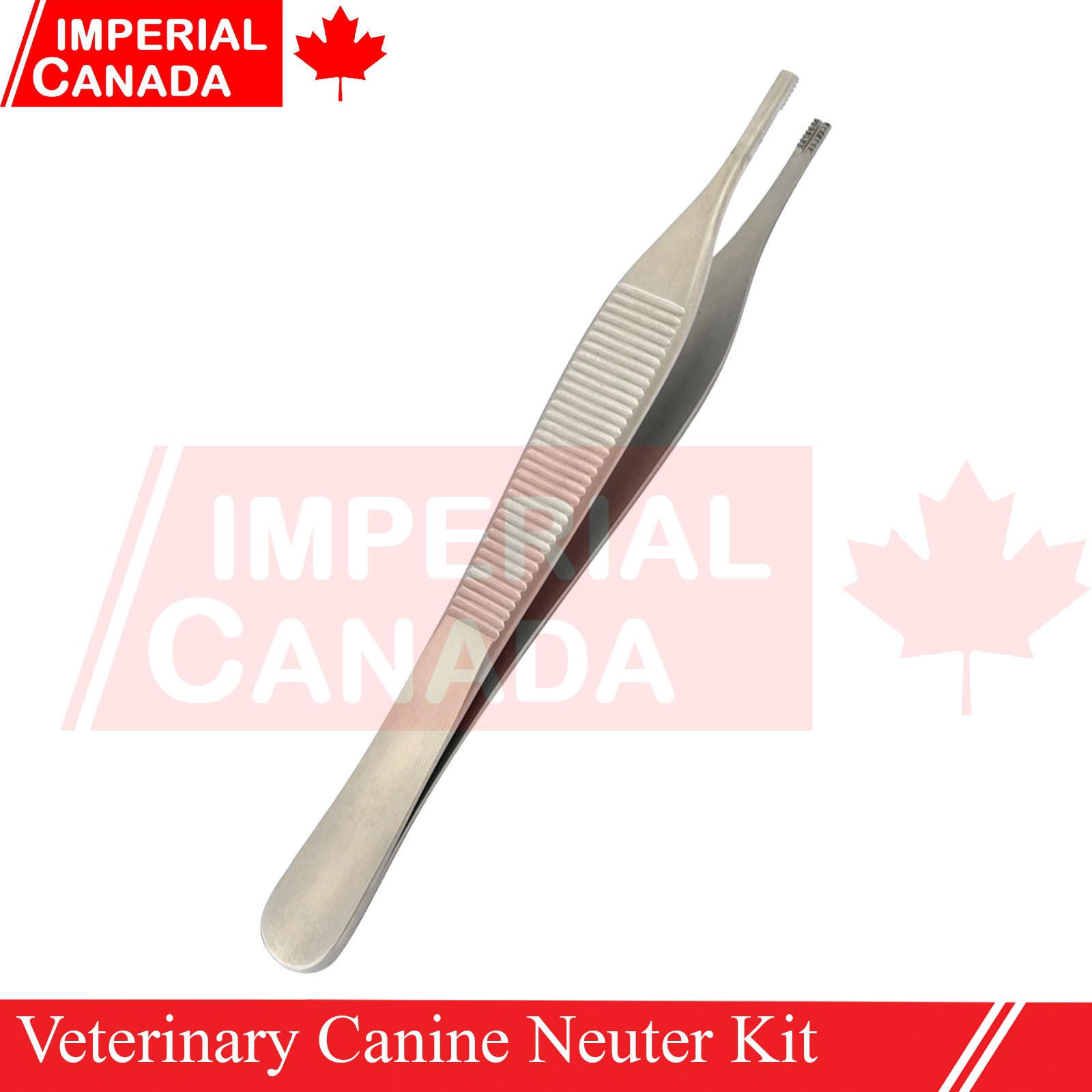 Feline Spay Pack Kit Contain Basic Surgery Instruments Set Surgical Econ DS-2240