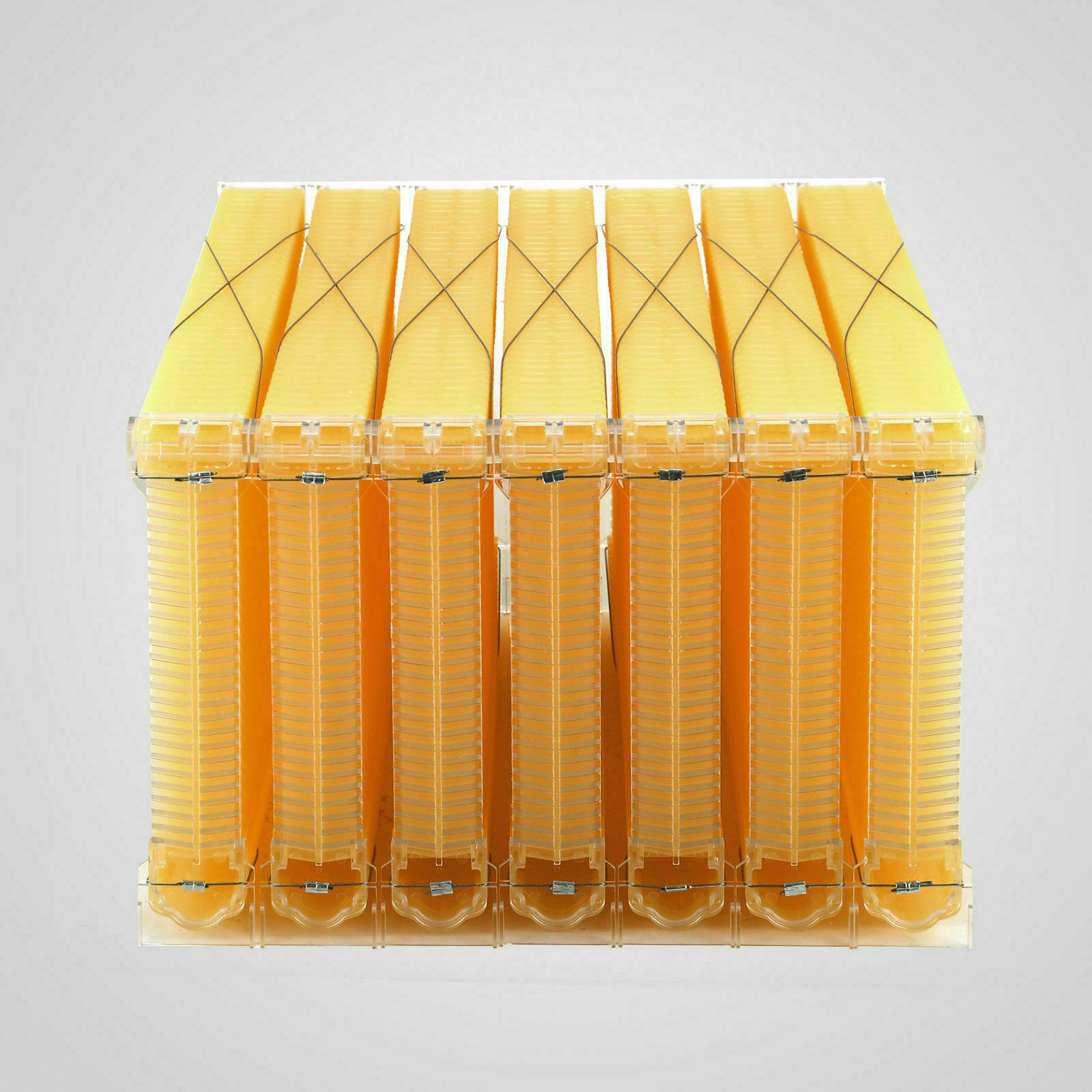 7PCS Auto Seeping Honey Bee Hives Beehive Frames +Cedarwood Beekeeping Brood Box