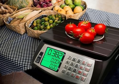 Commercial Price Computing Scale 66lb/30kg – Waterproof, Rechargeable, Large LCD