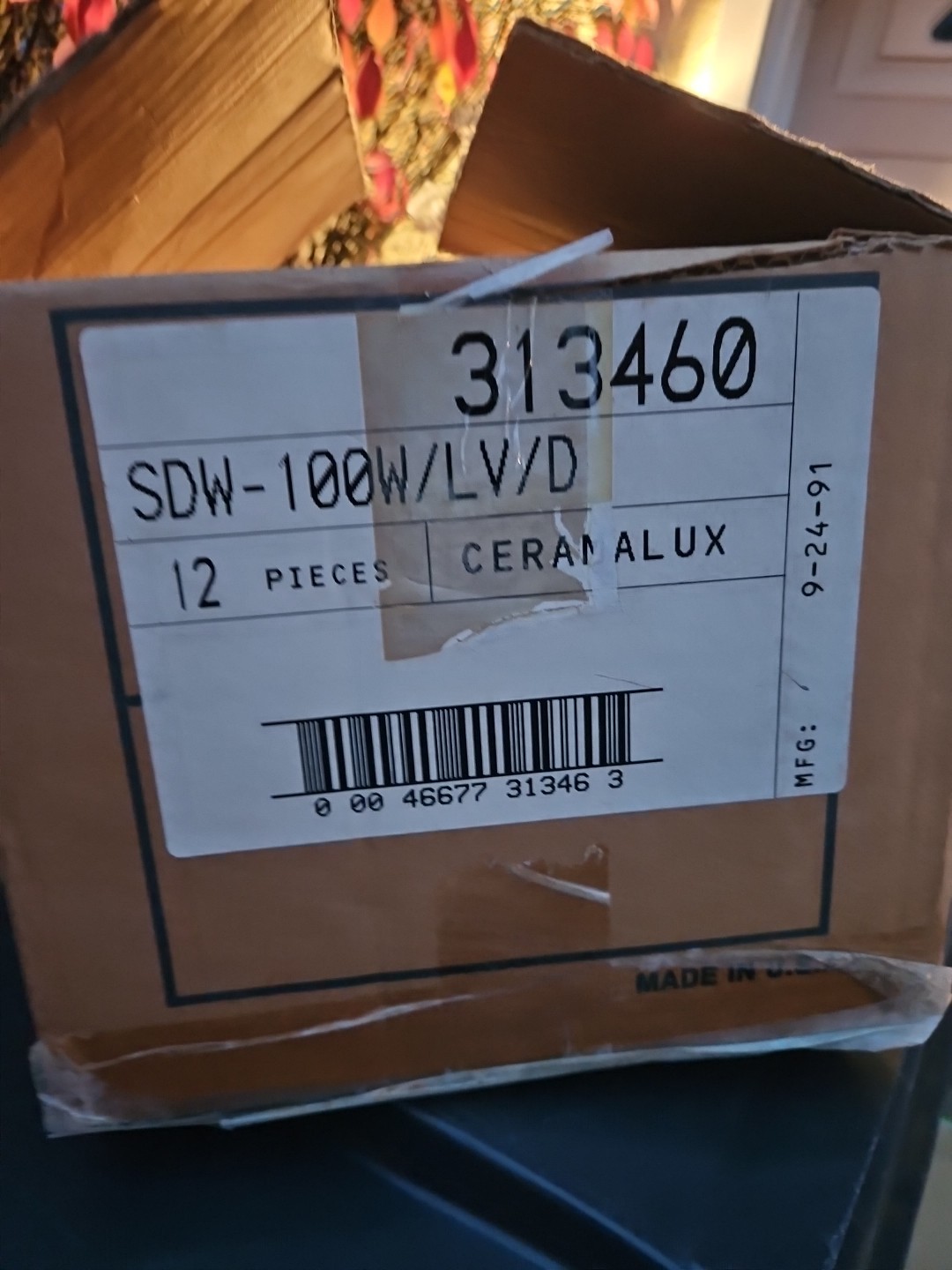Philips SDW-100W/LV/D 100 Watt White High Pressure Sodium Diffuse Bulb 313460