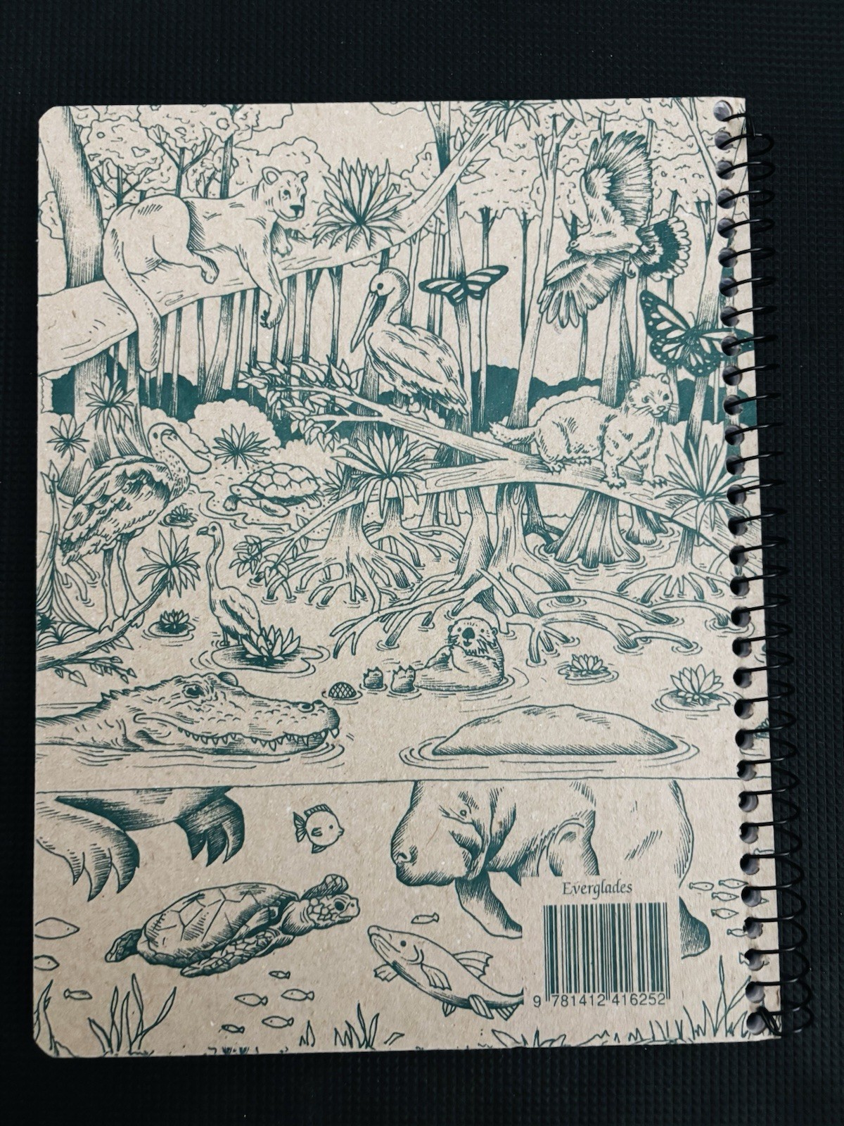 Everglades Decomposition Book: 100 Page College Ruled Composition Notebook Lined