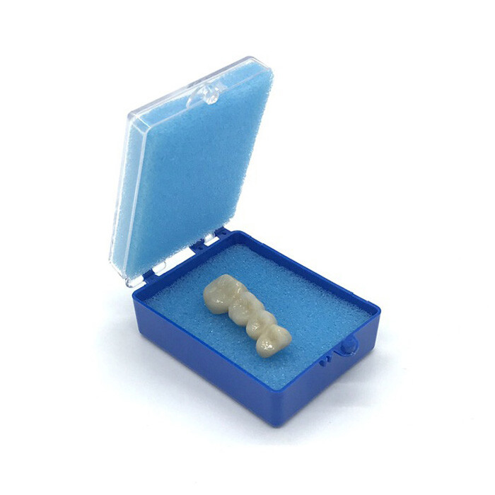 100pcs Denture Box Sponge Case Dental Box Appliance Container Storage Box