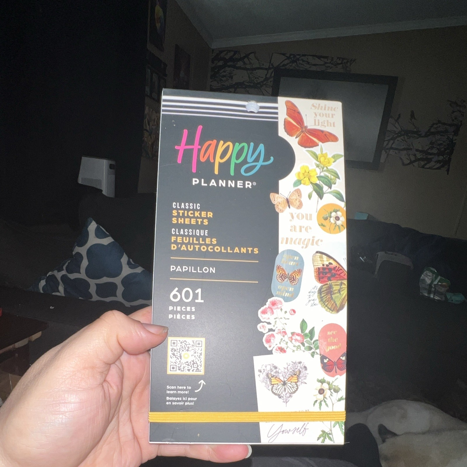 Happy Planner Papillon classic BIG Sticker Book 30 Pages 601 Pieces NEW