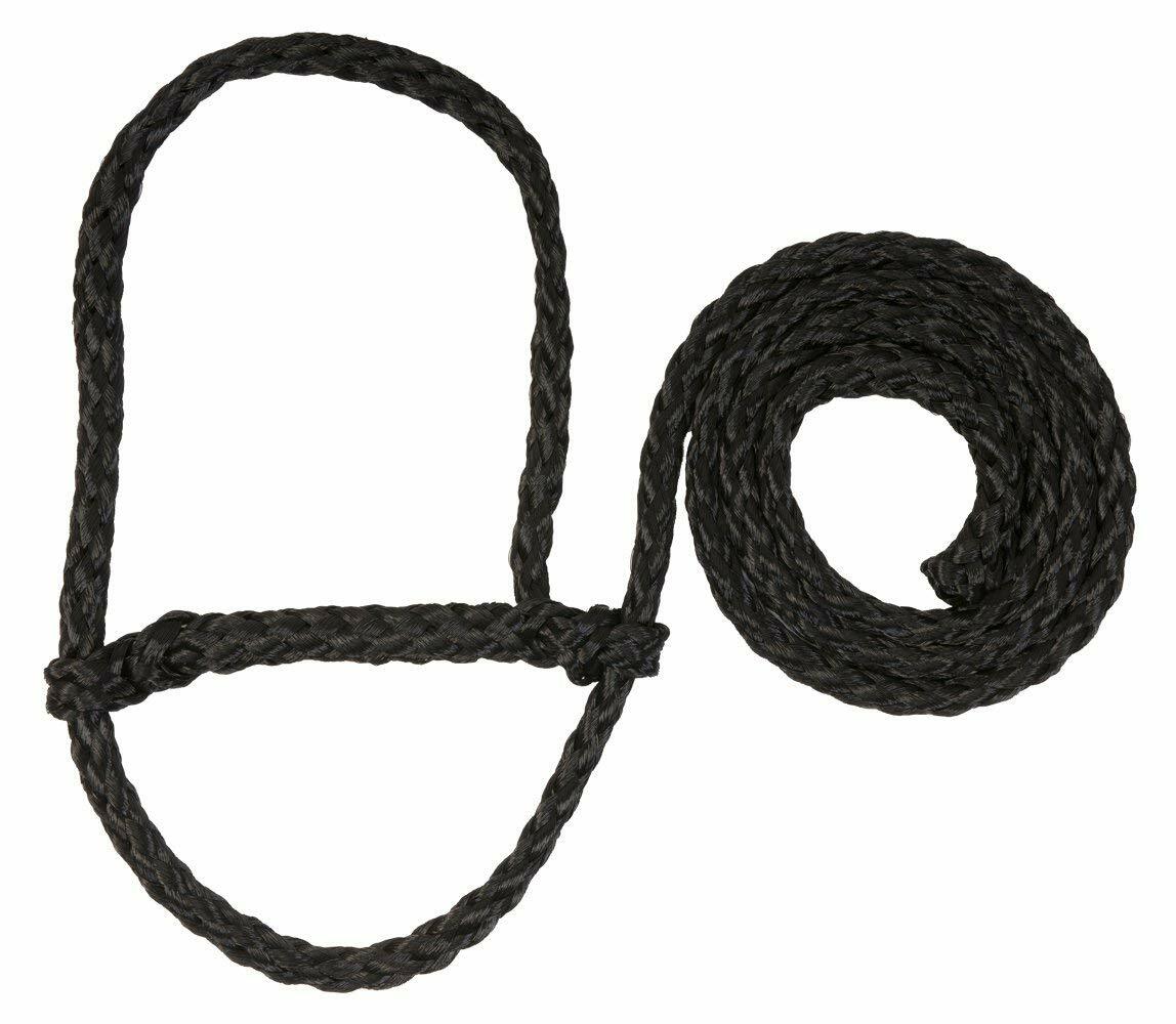 Sheep Lamb and Goat Adjustable Halter with Rope Lead BLACK Showing Sheep