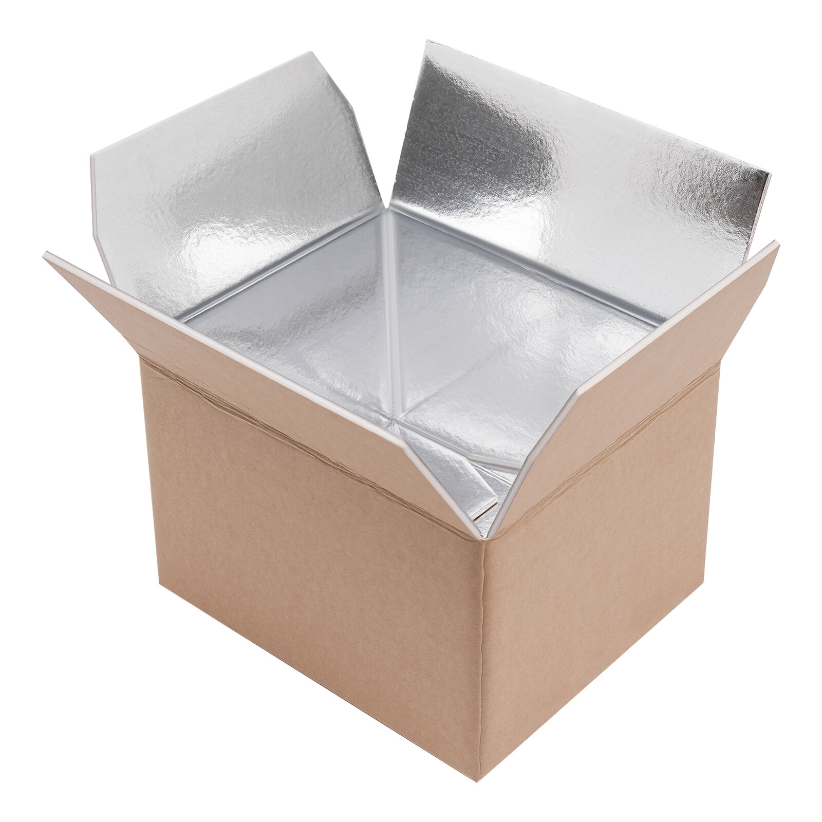 20Pcs 200kg/440lbs Box Insulated Shipping Box Cold Shipping Boxes Cooler Box