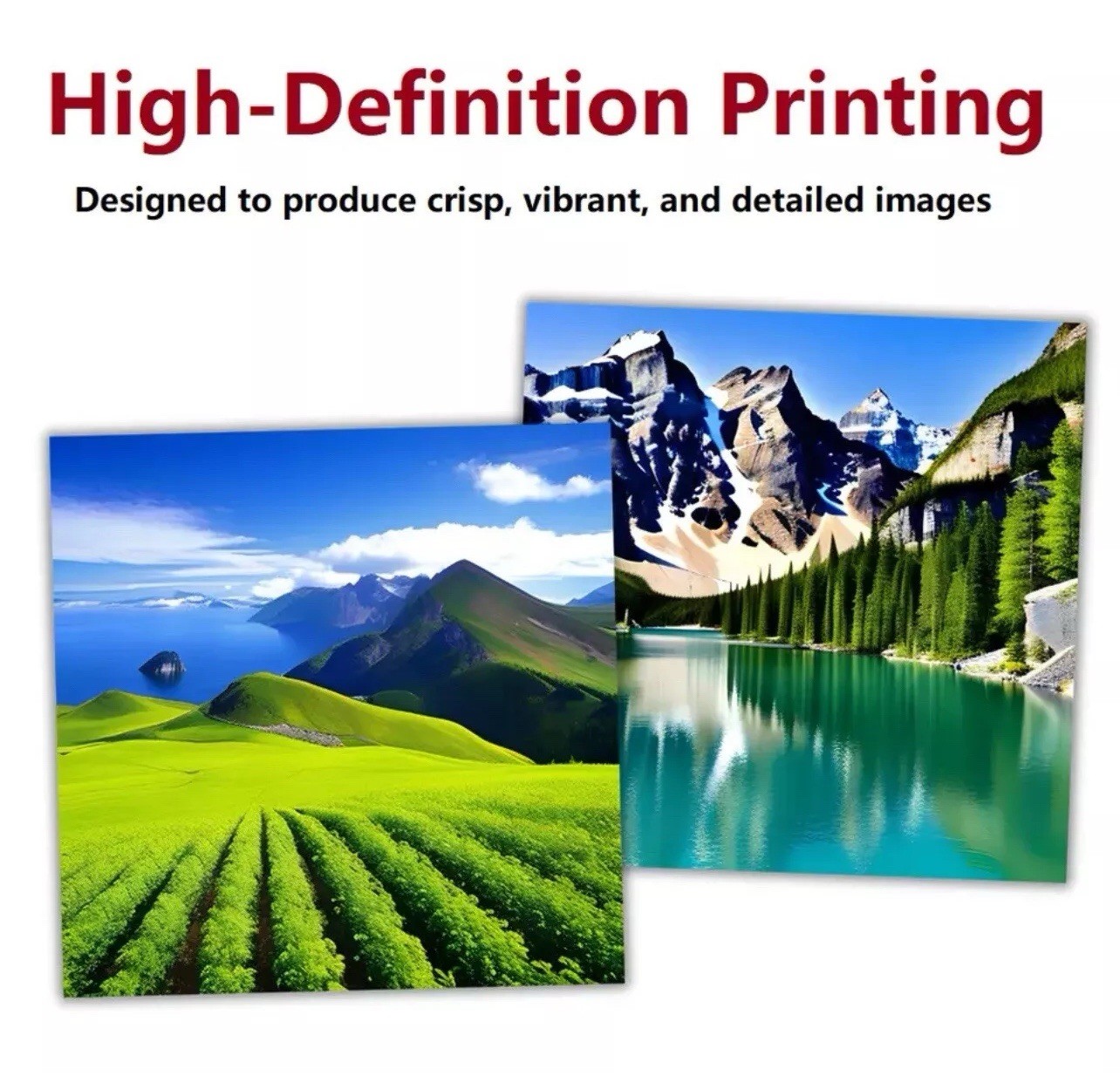 Printer All-in-One DTF Ink & Powder T-Shirt Printer Epson | Starter Kit NEW
