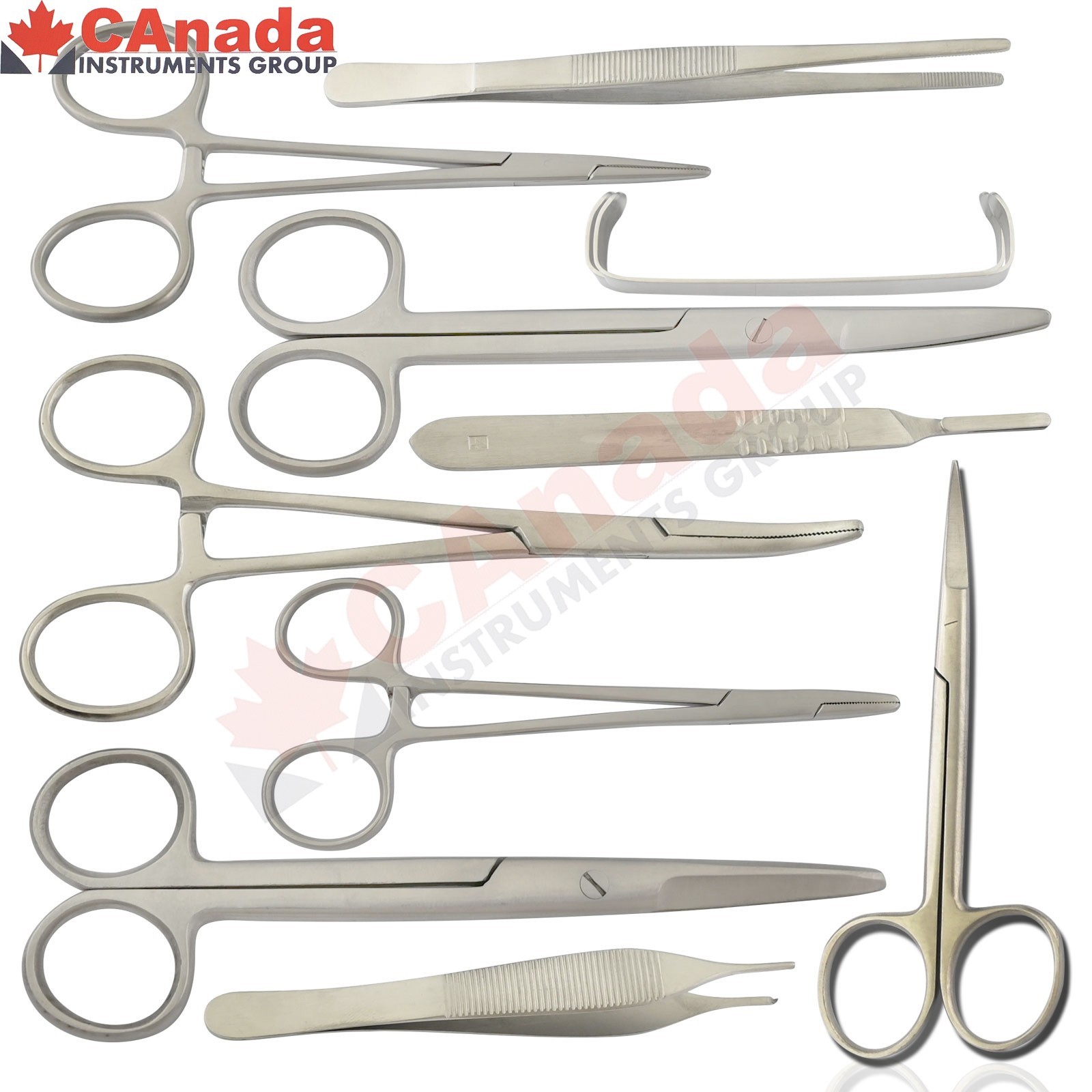 11Pcs Basic Minor Surgery Kit Surgical Dissecting Instruments Delicated Forceps