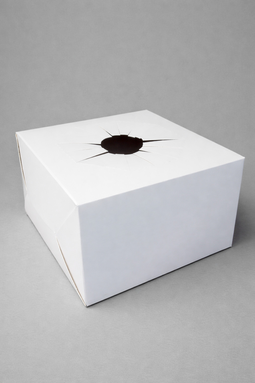 800 Custom Floral vase holder transport boxes 6x6x4