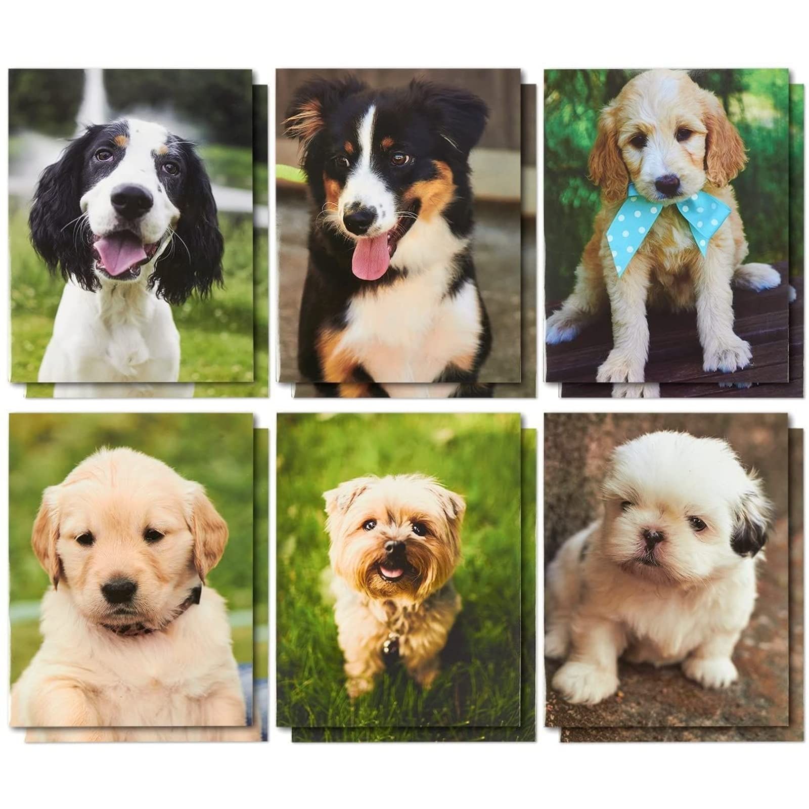 BLUE PANDA 12 Pack Dogs Pocket File Folders, Decorative Puppy Designs for Kids,