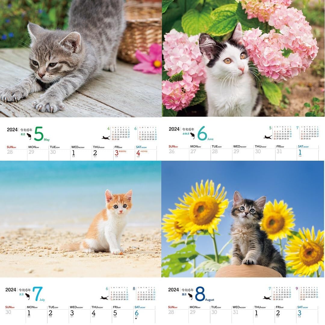 JTB Calendar Nyanko 2024 Wall Hanging Cat (Calendar 2024)