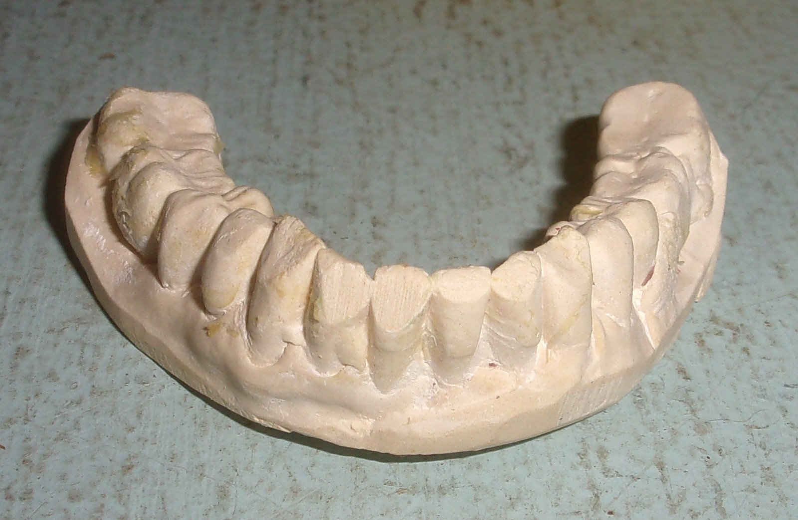 Plaster Lower Jaw Denture Cast for False Teeth Prop Creepy Decor