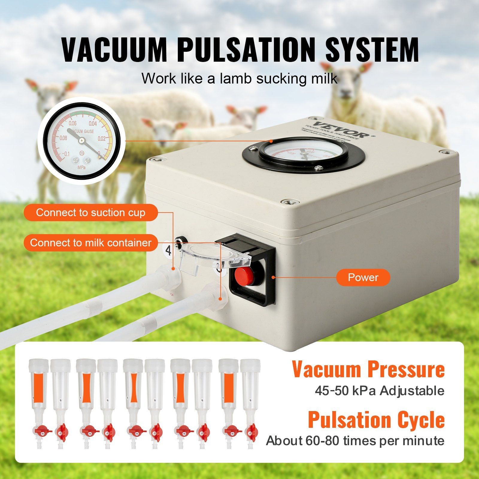Automatic 6L Goat Milking Machine Electric Vacuum Pulsation 45-50kPa Adjustable