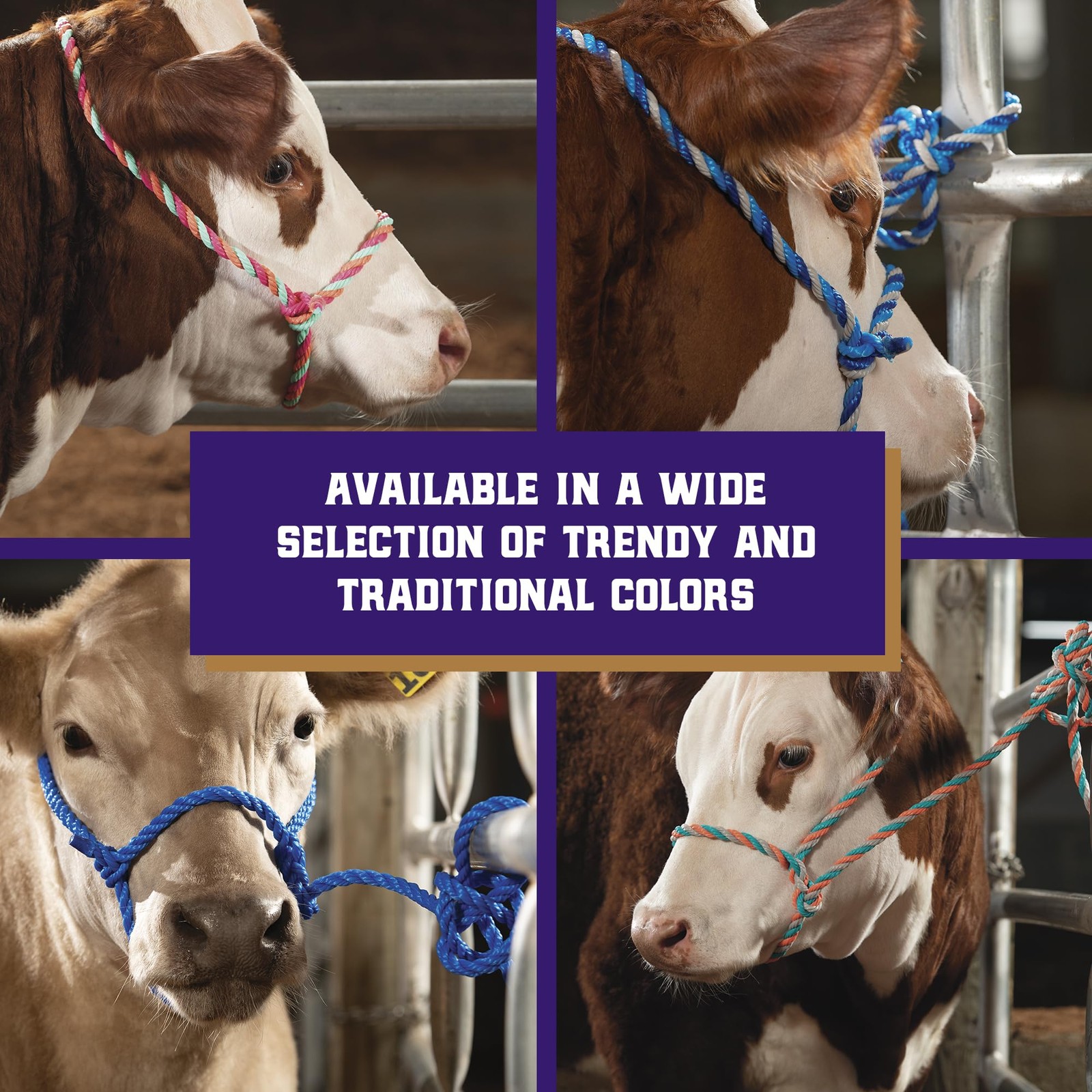 Weaver Livestock Braided Poly Rope Cattle Halter, Adjustable, Modern Style Co…