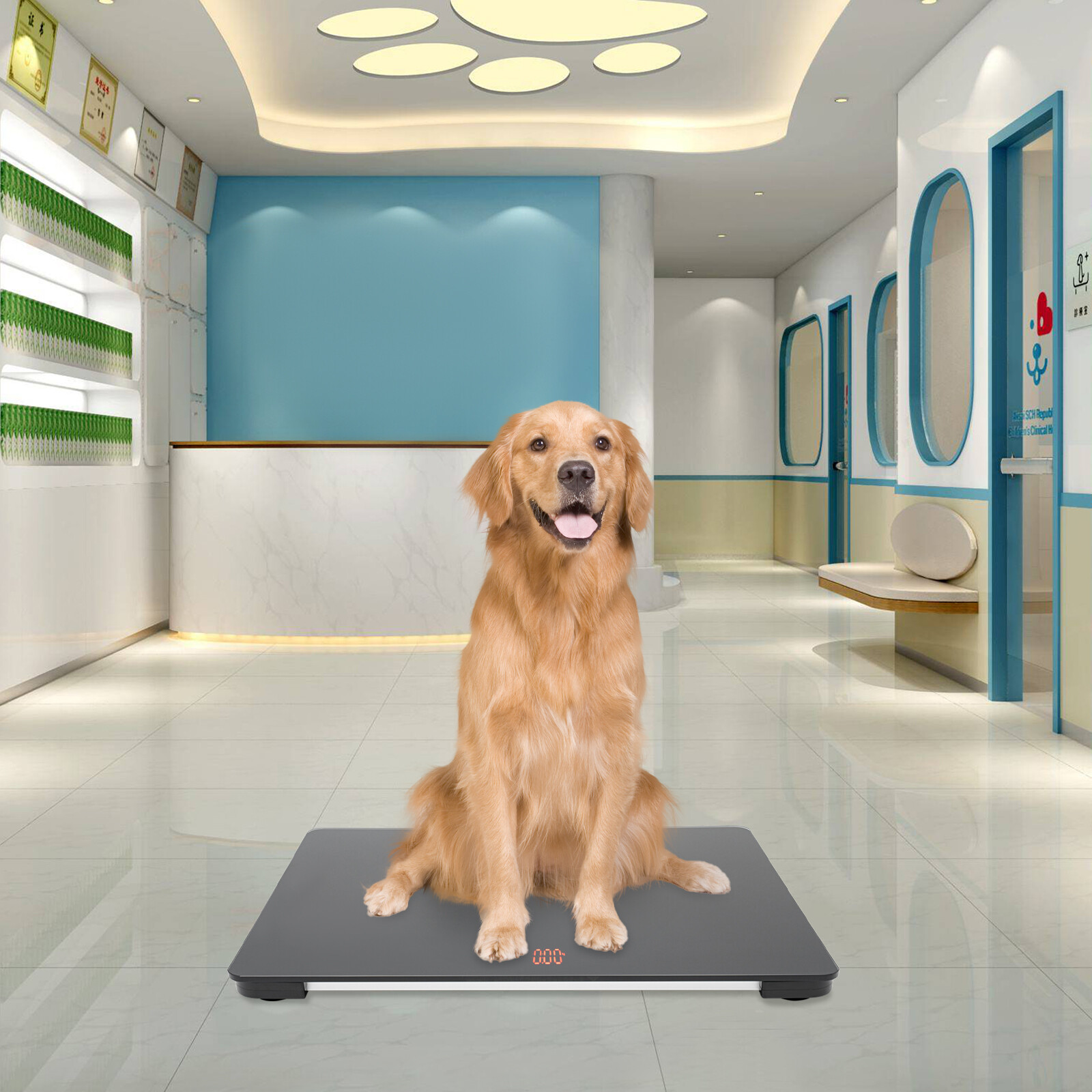LCD Pet Store Hospital Scale Large Dog Weighing Scale 100KG High Precision Scale
