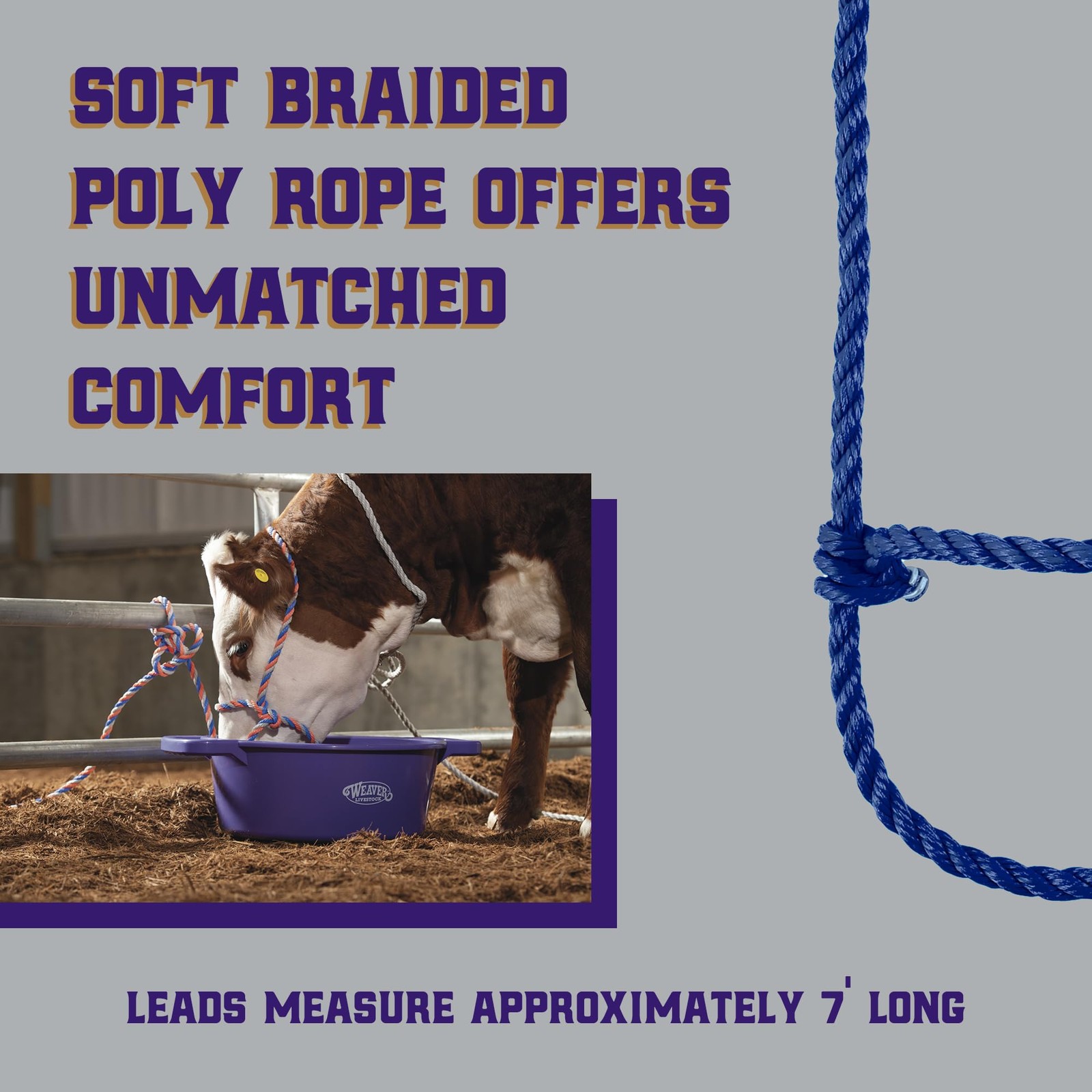 Weaver Livestock Braided Poly Rope Cattle Halter, Adjustable, Modern Style Co…