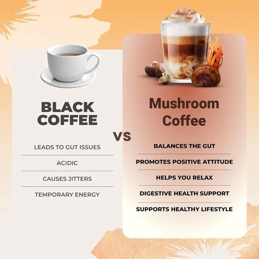 (Pack of 2) Organic NEW Mushroom Coffee 30 Servings Instant Coffee Mix