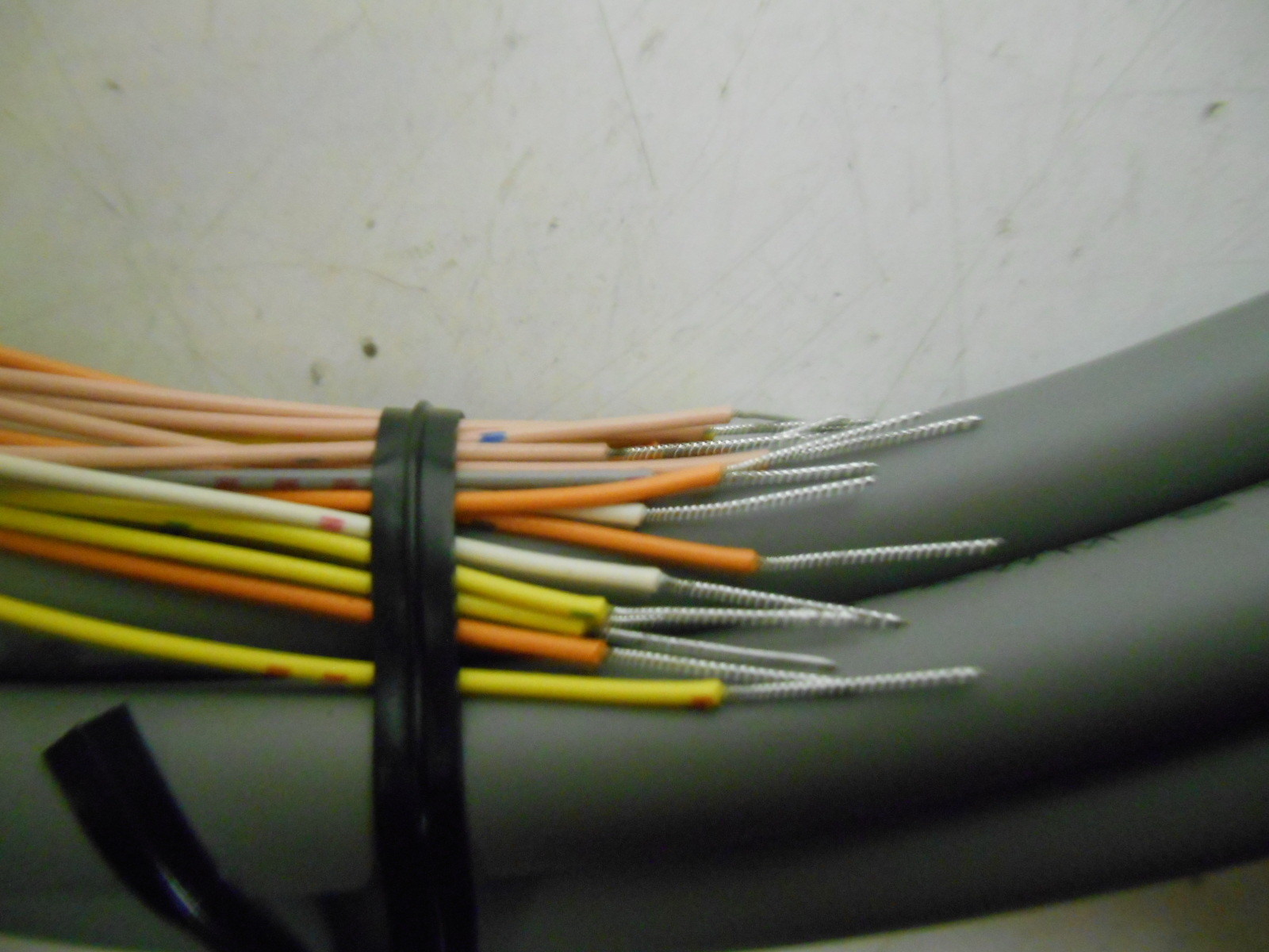 NIB Automation Direct D4-IOCBL-1 DL405 PLC I/O Cable, 9.8ft/3m Cable Length
