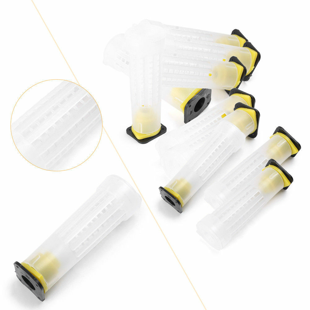 10 PCS Beekeeping Rearing Cup Kit Queen Bee Cages Beekeeper Equipment Tools